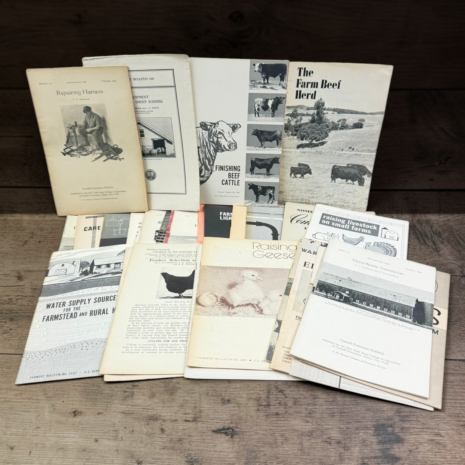 Vintage Farm Pamphlet 31 Agricultural Bulletins Homesteading Livestock 30s-70s