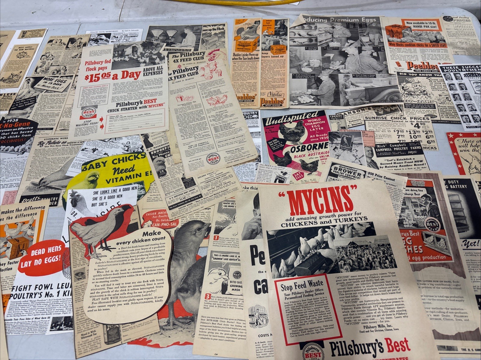 Lot Of 60 Chicken Poultry Egg Related Magazine Print ads 1930-50s