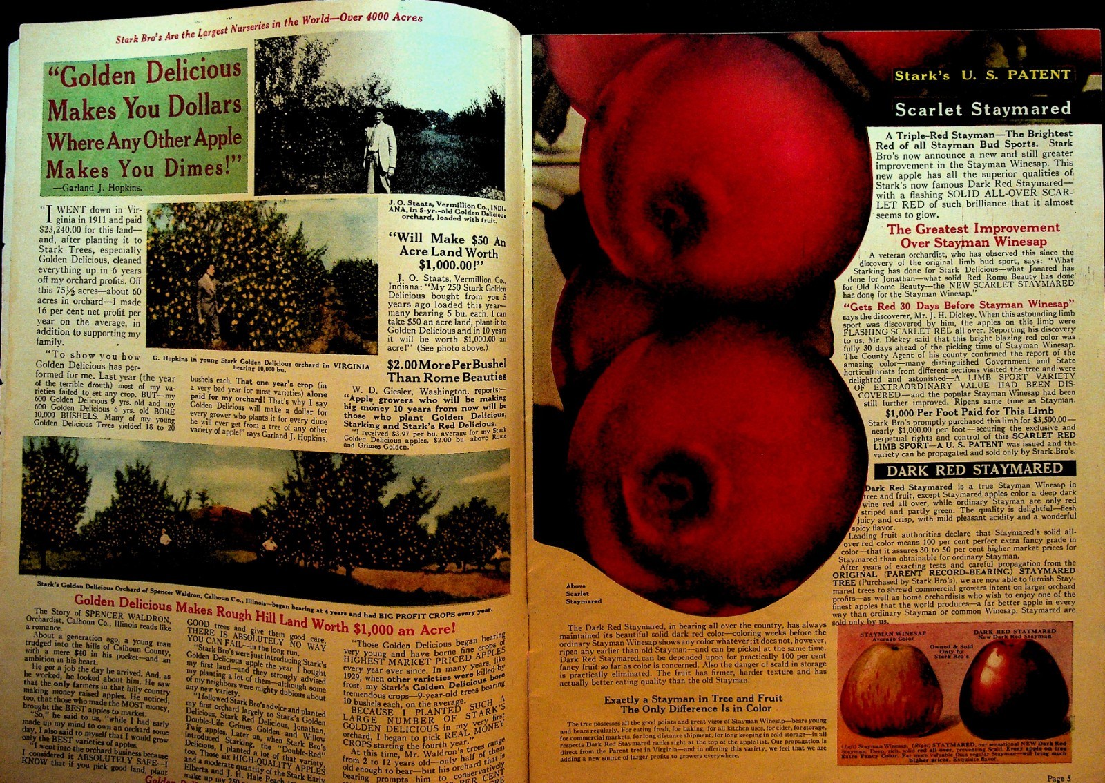 Stark 1937 Book of Fruits Catalog Stark Bros Nursery Louisiana Missouri