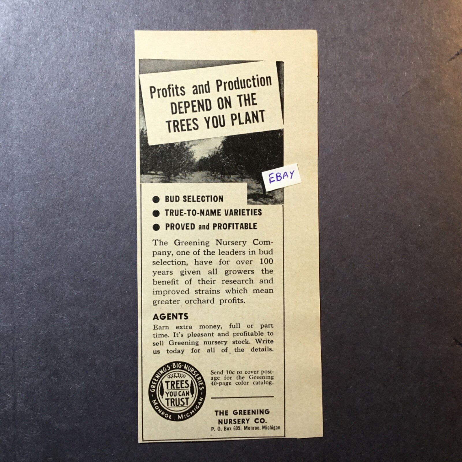 1962 Ad. The Greening Nursery Co. Monroe, Michigan.