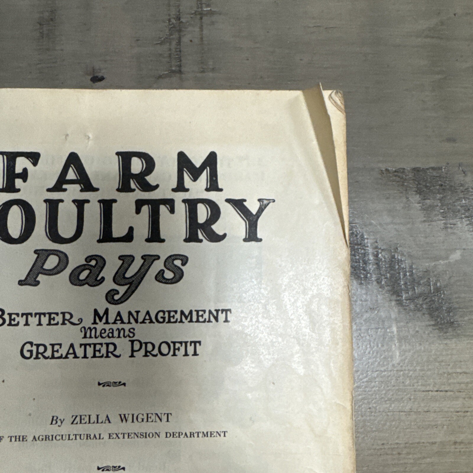 1926 Farm Poultry Pays International Harvester Company Booklet