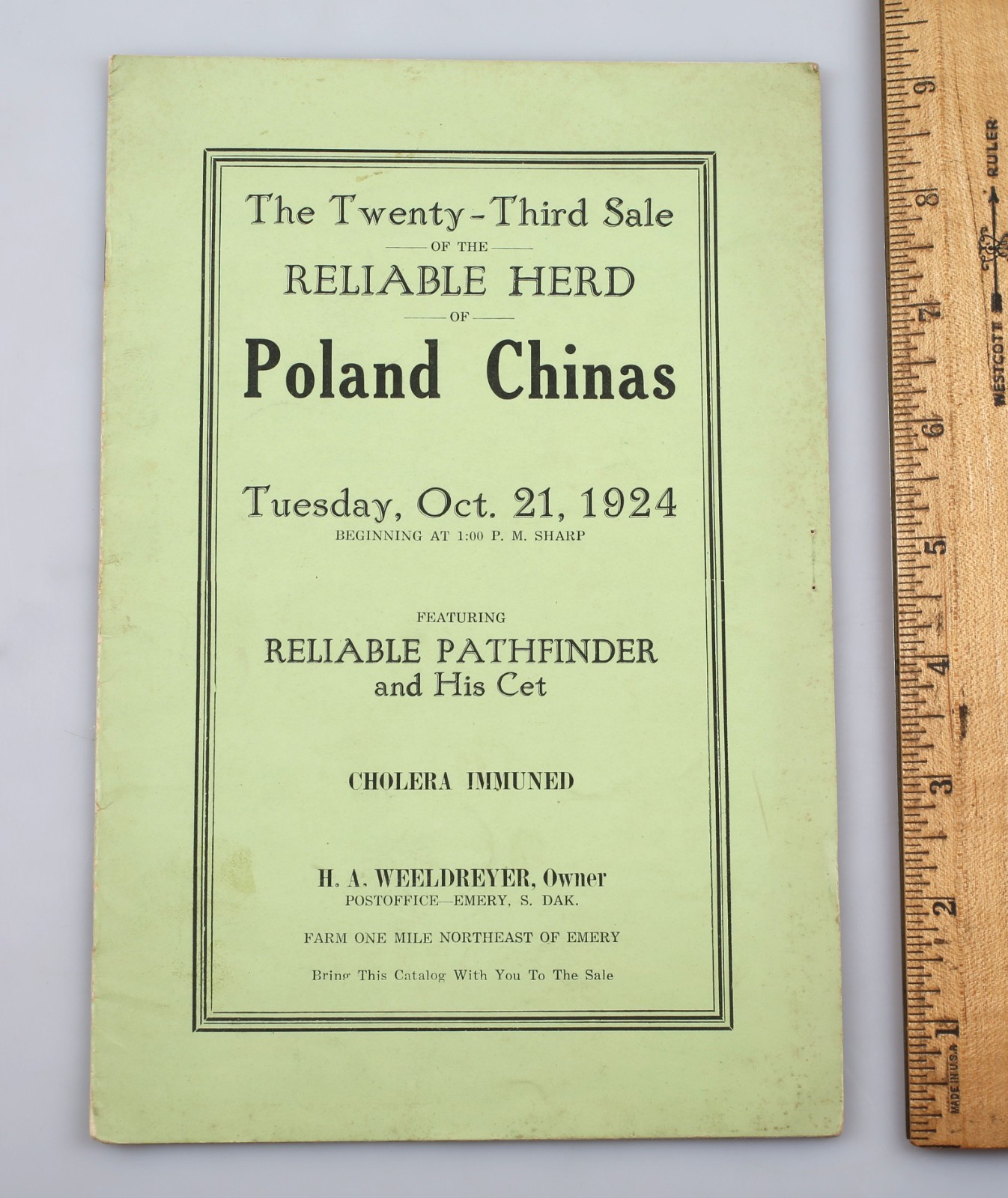 Vintage 1924 Poland China Pig Sale Cholera Immuned Emery South Dakota