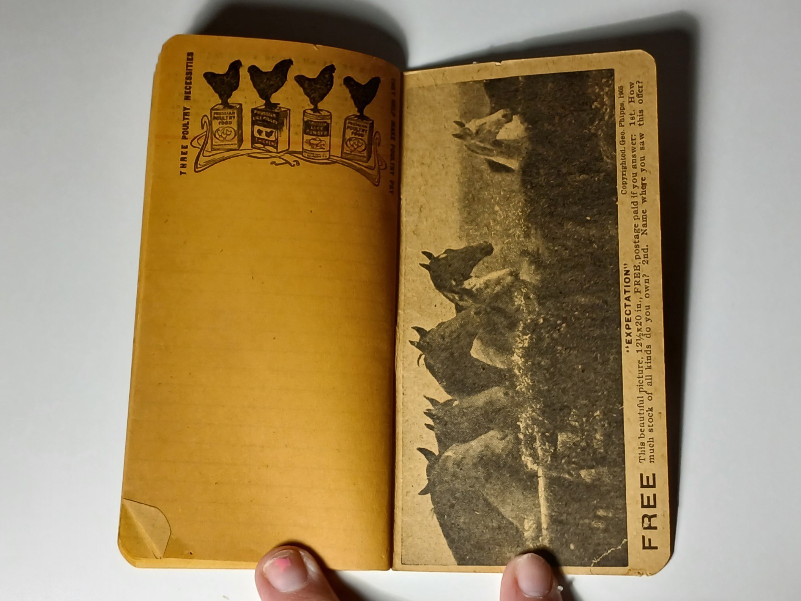 1906 Vintage Farm Ledger Prussian Food Advertising Cow Pig Sheep Horse Graphic