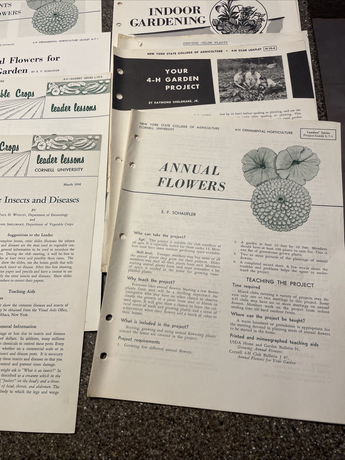 Large Lot Vintage 4H And Cornell Cooperative Extension Gardening Brochures.