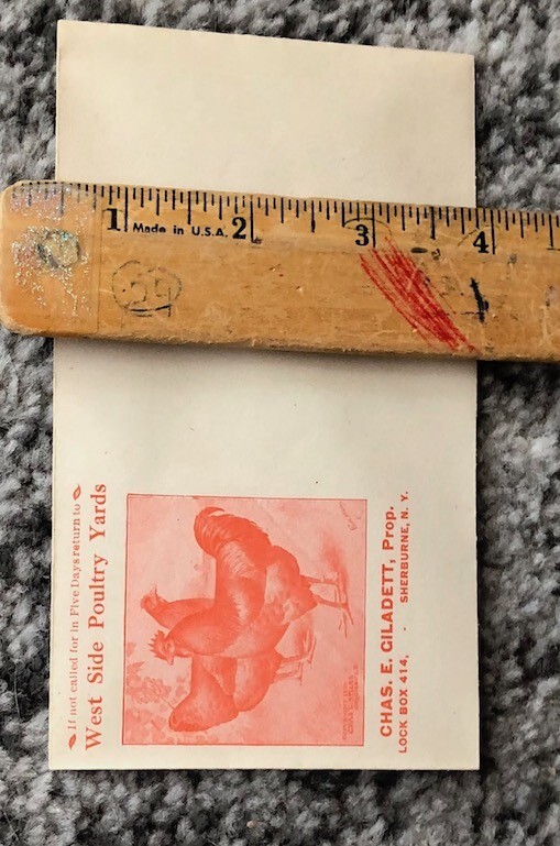 Vintage Envelope West Side Poultry Yards Sherburne NY Original 1930&rsquo;s New York