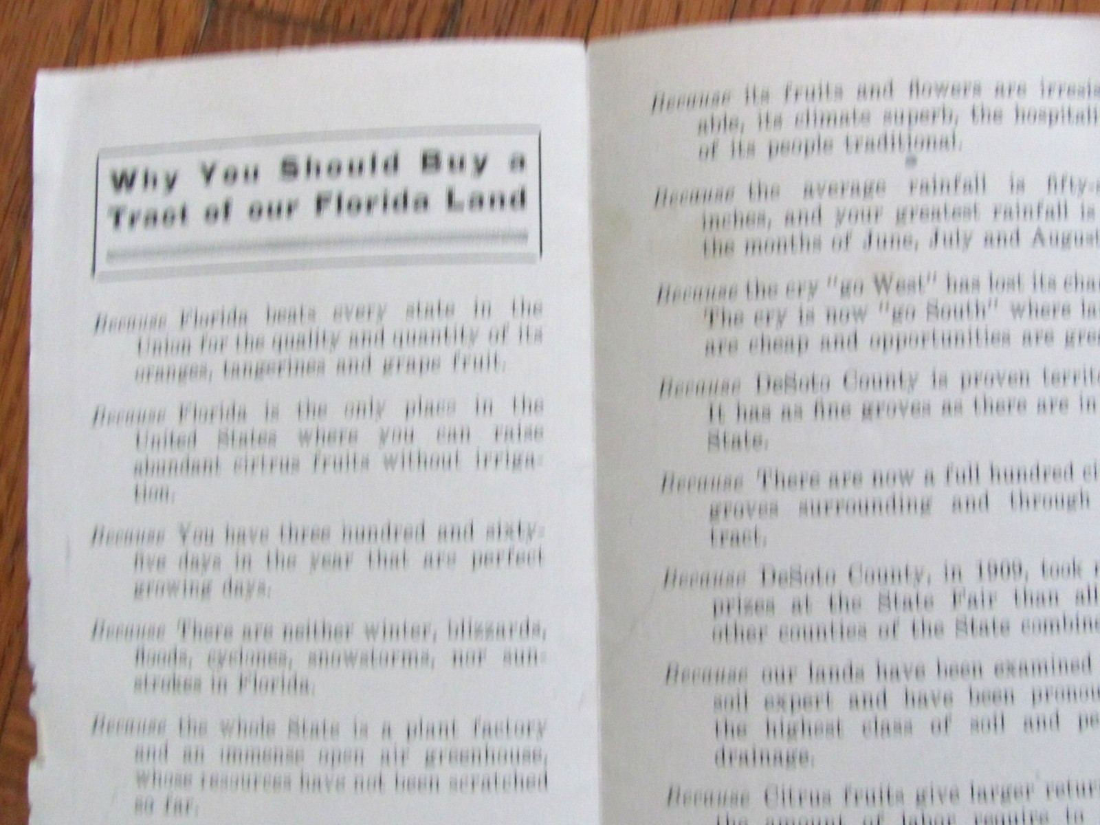 1920&rsquo;s BROCHURE DE SOTO COUNTY FLORIDA CITRUS & FARM LAND NEW HOME REALTY CO