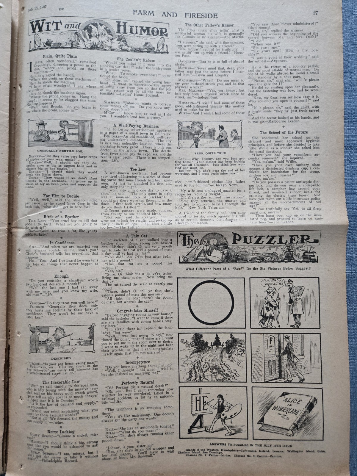Farm & Fireside Newspaper July 25 1907 Articles Ads Fashion News Humor