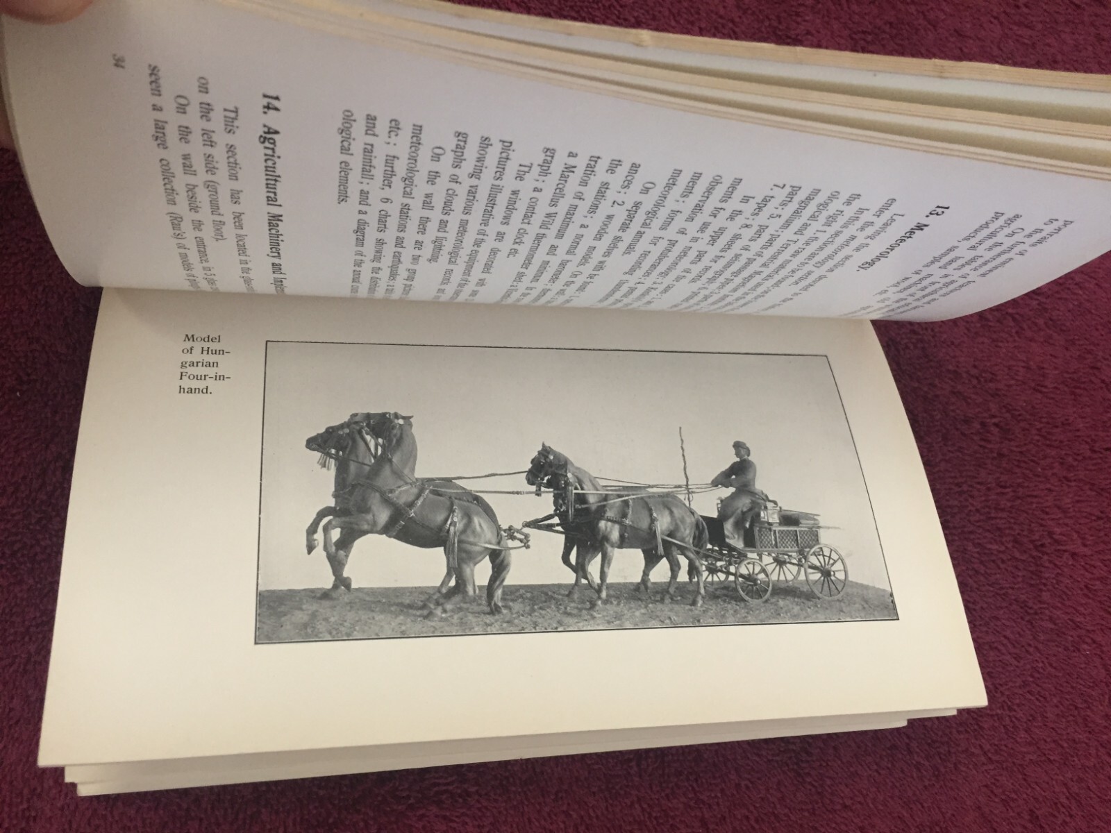 RARE 1914 Guide To Royal Hungarian Agricultural Museum Hungary Farming History