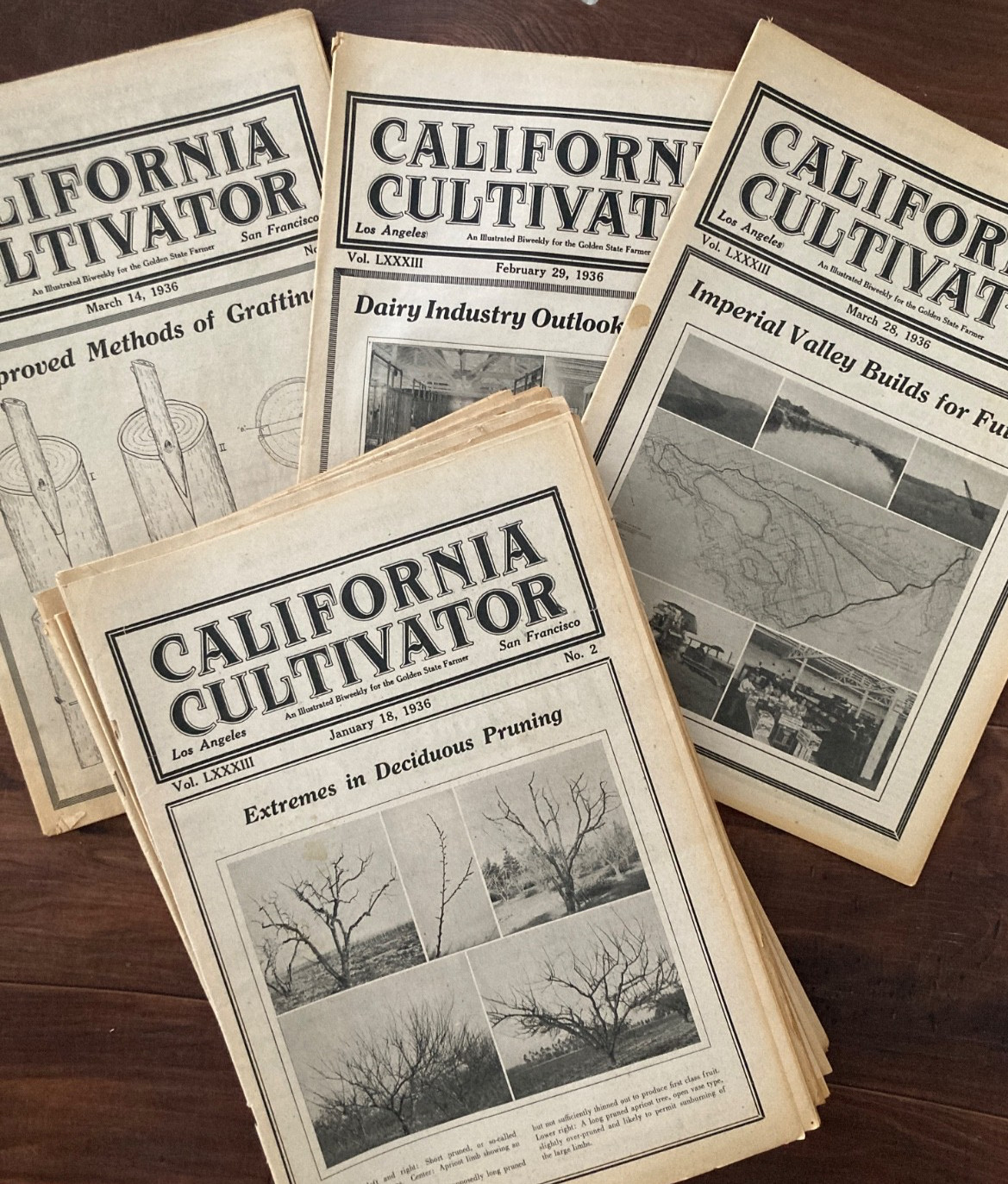 California Cultivator Agricultural Newspaper 1936 Biweekly Lot of 23 VHTF