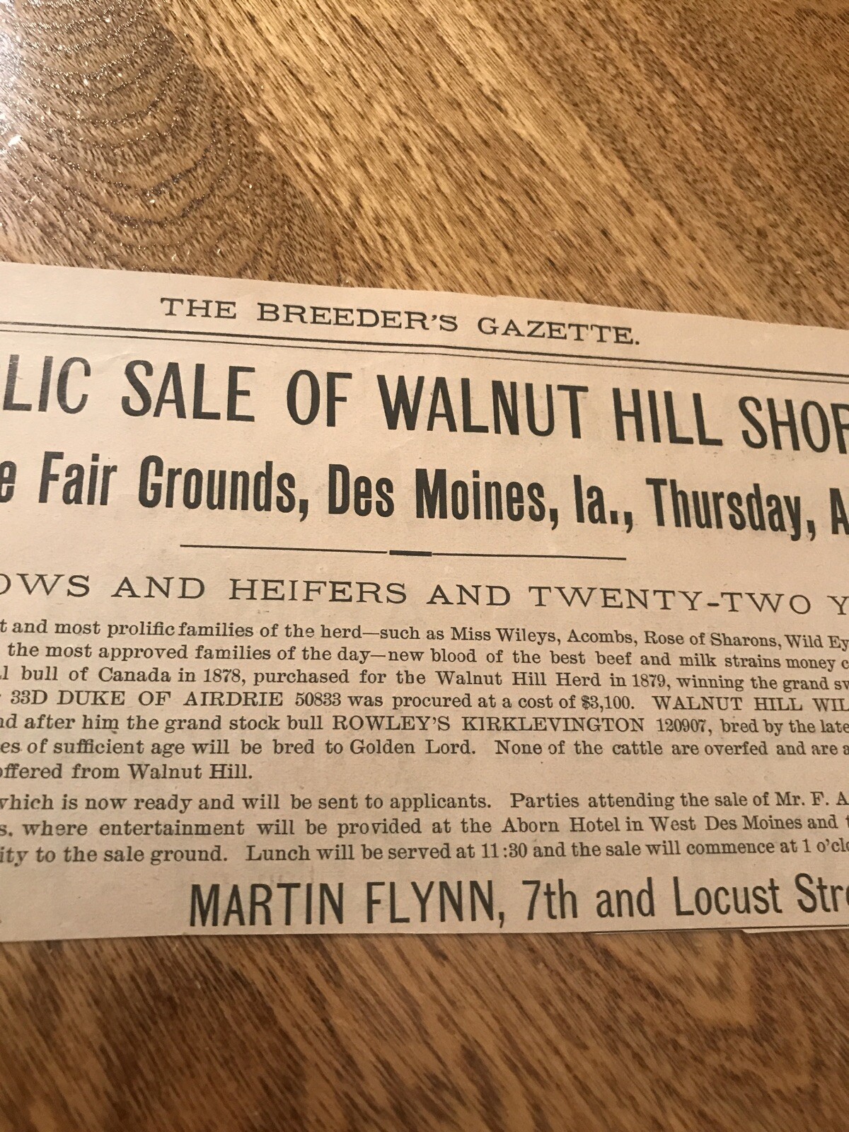 1899 Shorthorn Cattle Public Sale – Des Moines – Iowa – Cow Advertising