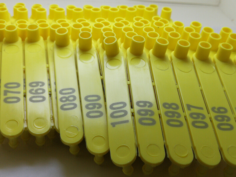 74mm*11.5mm LIVESTOCK tags Ear Tags for Sheep eartag or small animals tag