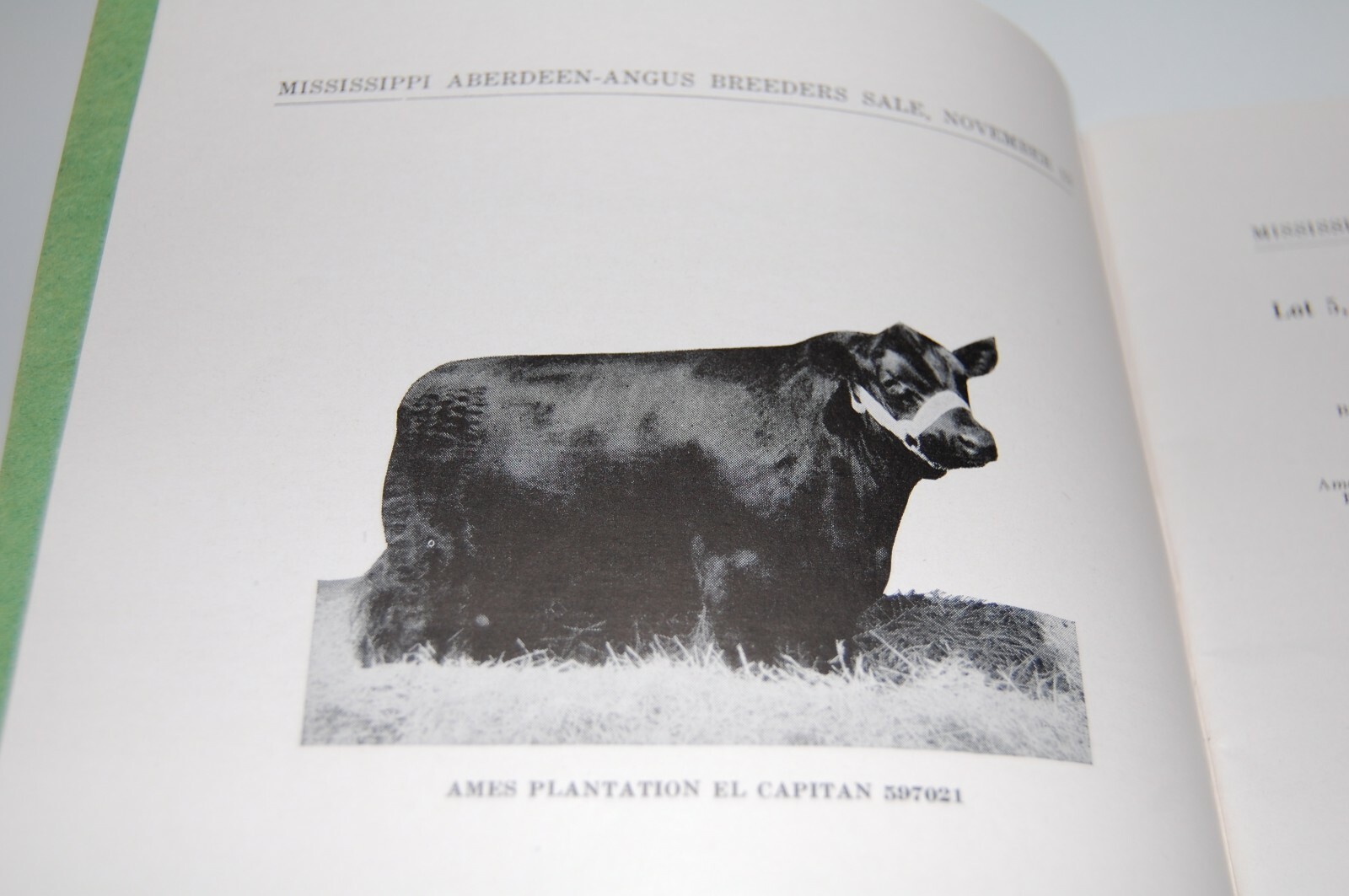 Rare 1944 Aberdeen Angus Cattle Sale Book – Greenwood Mississippi
