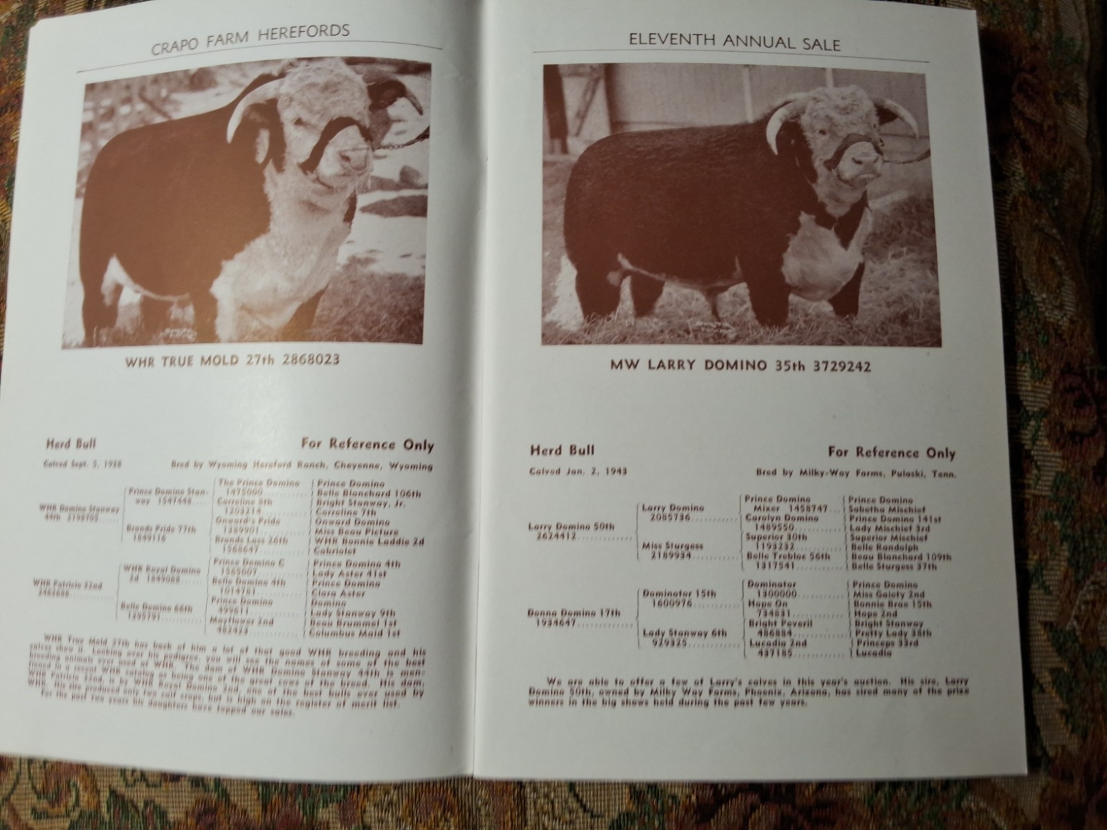 Vintage Crapo Farm Herefords Auction 1946 Sale Catalog Swartz Creek Michigan