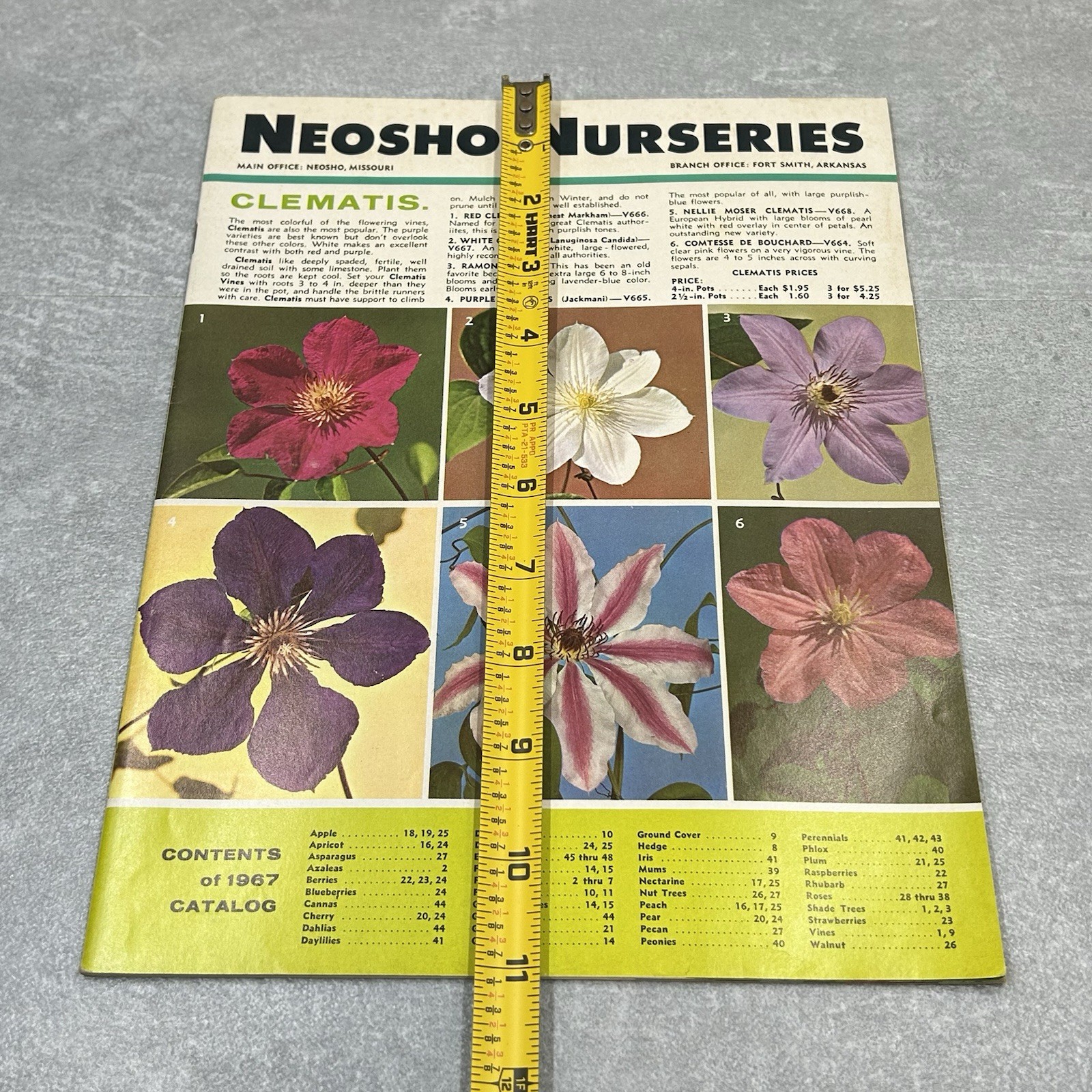 Vintage 1967 Neosho Nurseries Catalog Flowers Plants Fruit Tress Missouri