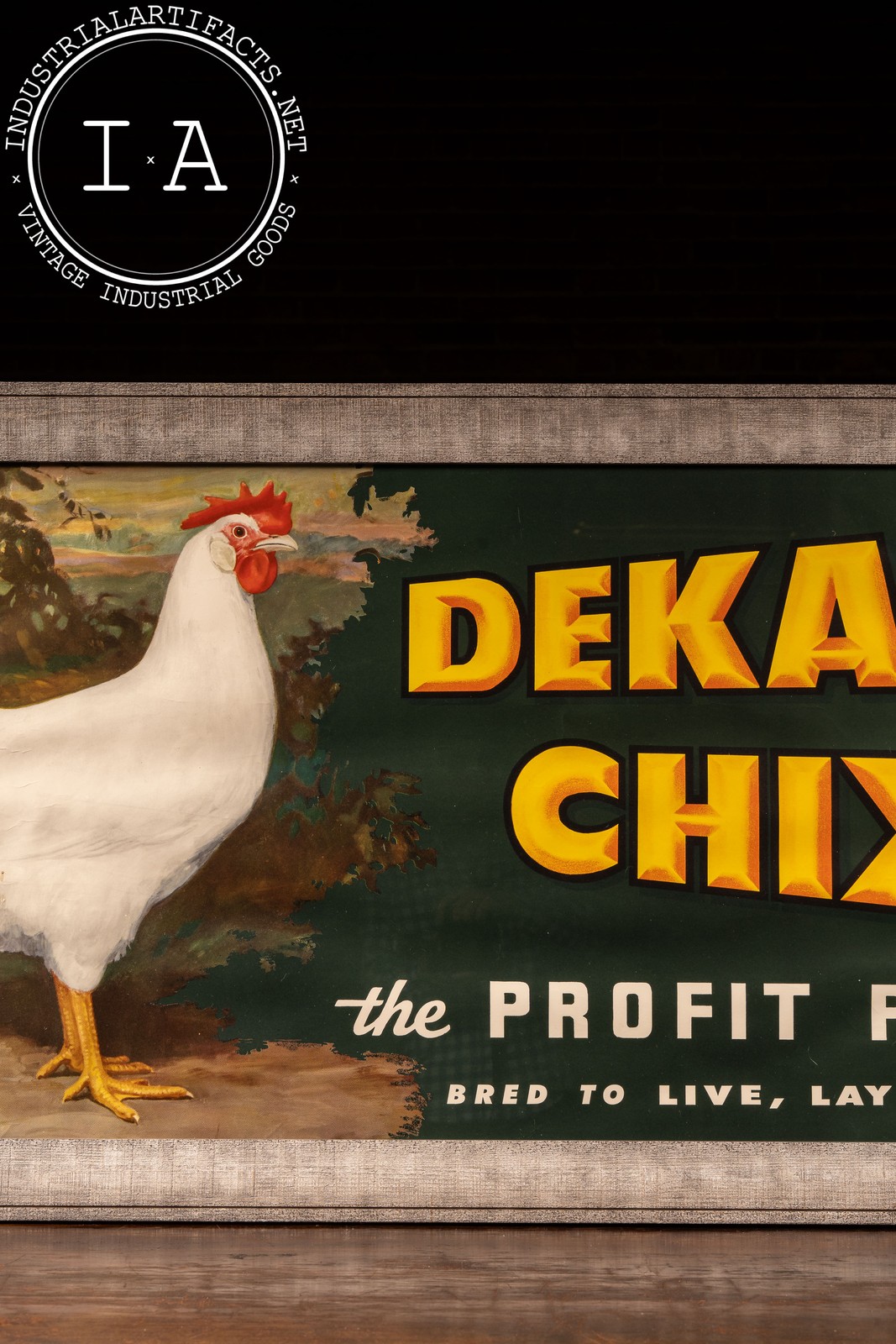 Vintage DeKalb Chix Framed Agriculture Poster