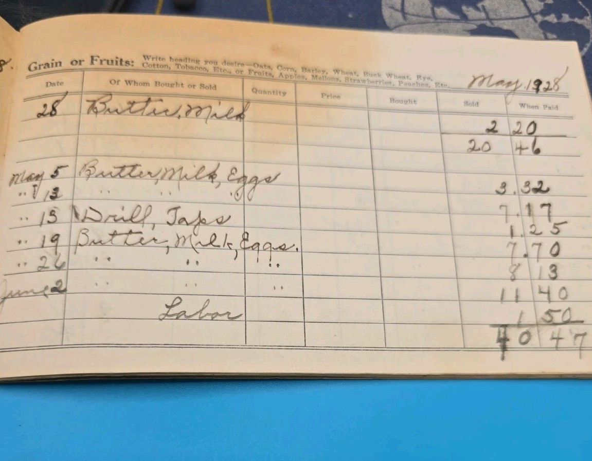 1928–1929 Michigan Farm Ledger – Buttermilk, Eggs, Produce, Livestock, Cow Sale