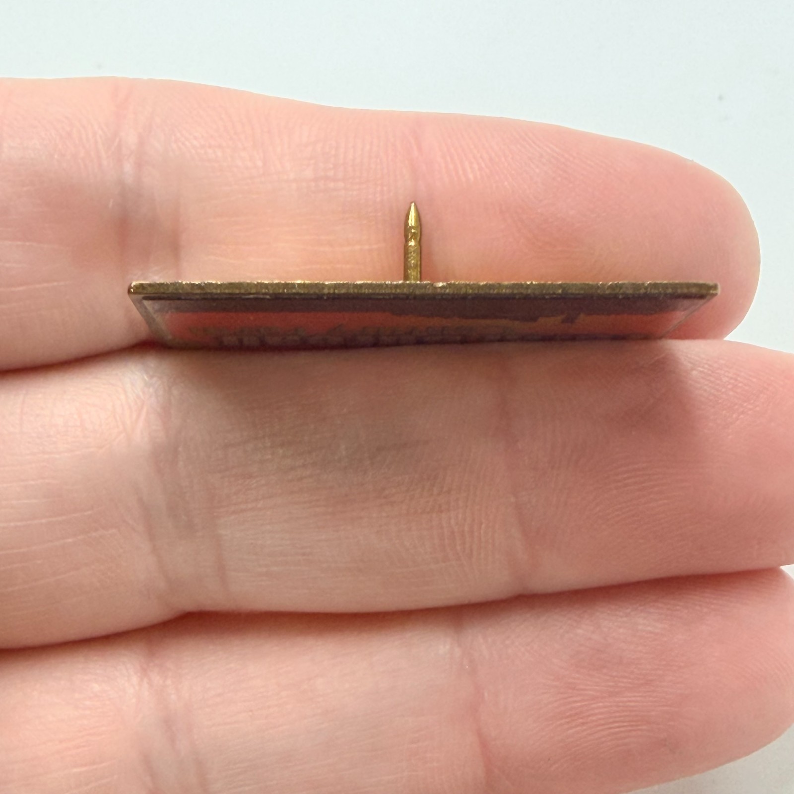 Rare Farm Bureau Century Farm Agriculture Lapel Pin 100 Years Farming Family