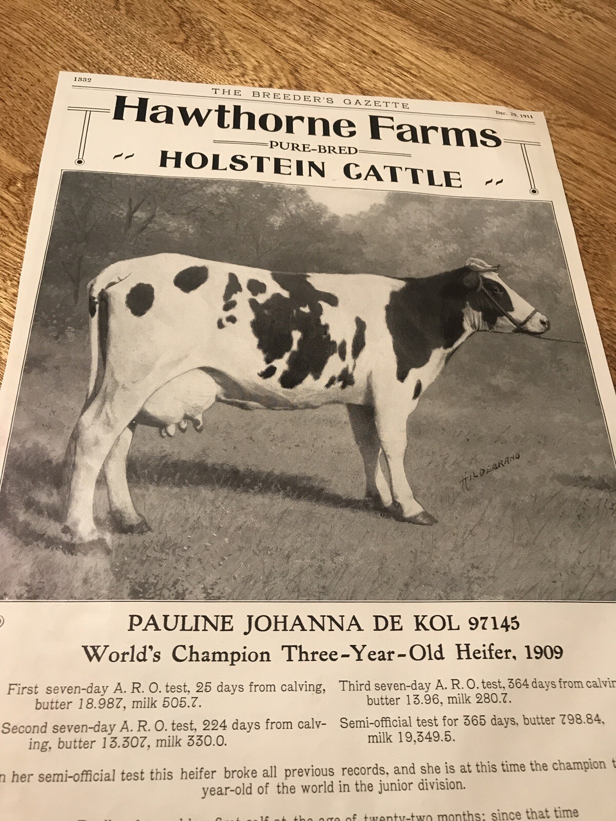 1911 Hawthorne Farms Cattle Farm Advertising – Barrington – Illinois – Cow