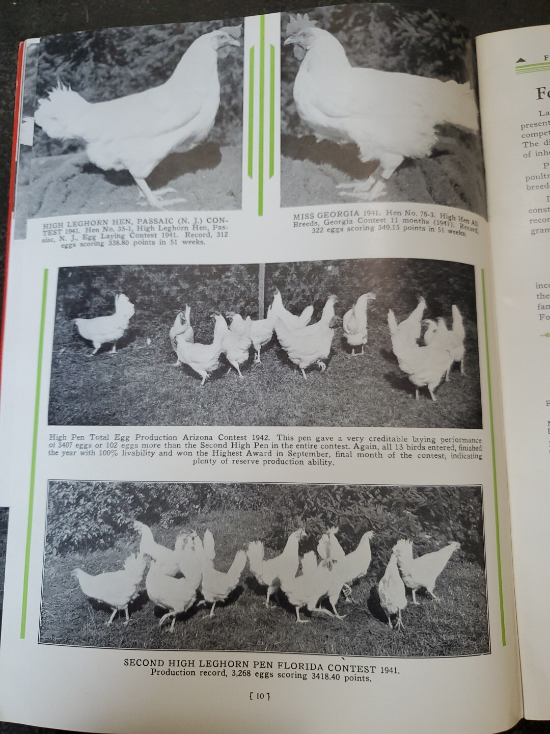 1944 Foreman Poultry Farm Catalog Chickens Beautiful & RARE 🐔
