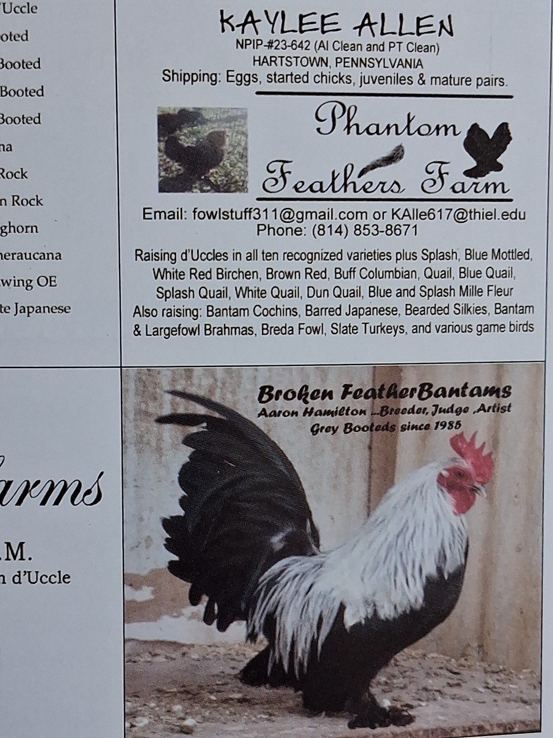 American Bantam Association 2020, 2021 & 2022 Yearbooks. New. ÷