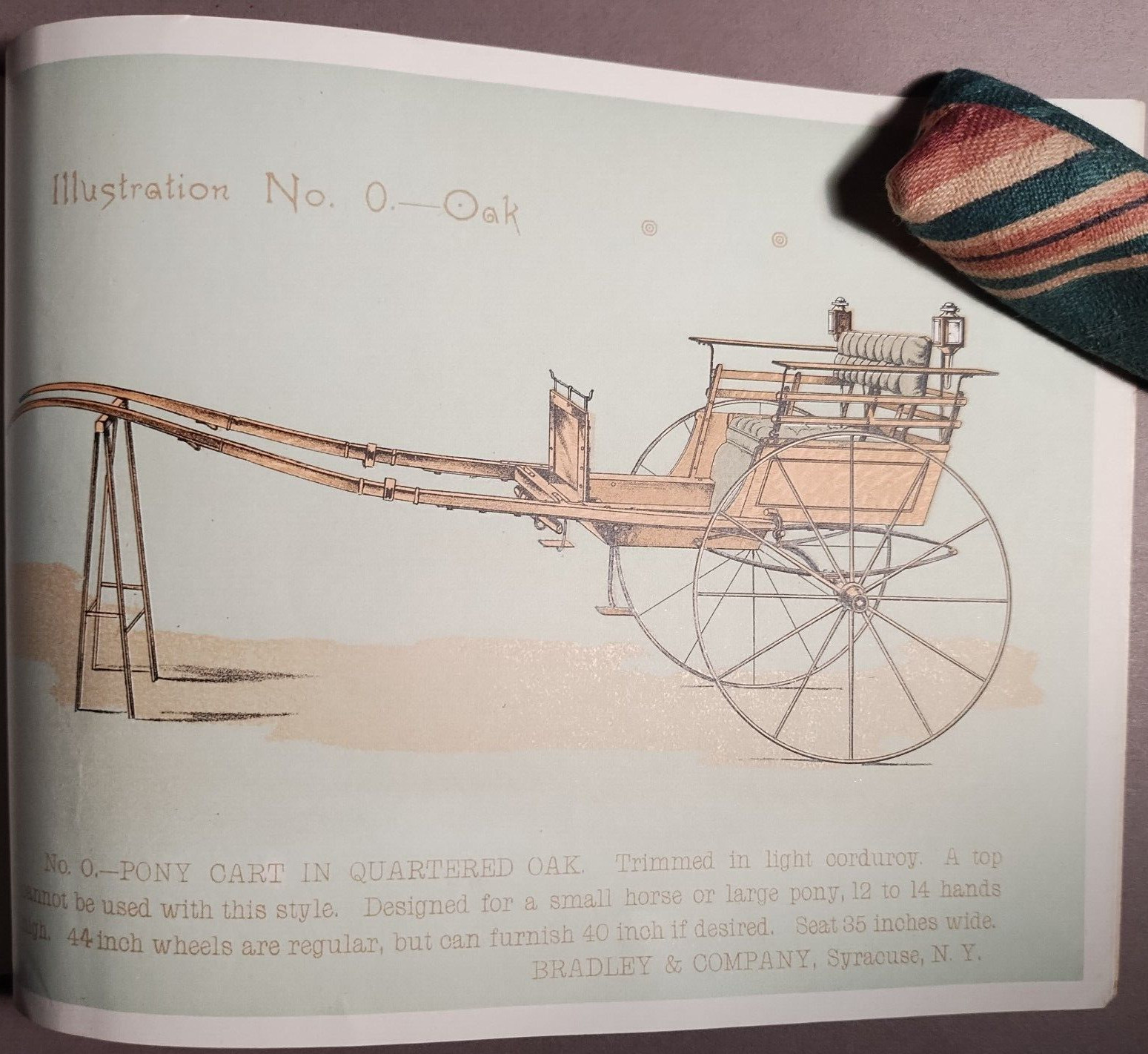 1890s Bradley & Co Syracuse Wagon Carriage Full Color Catalog Original B5-34