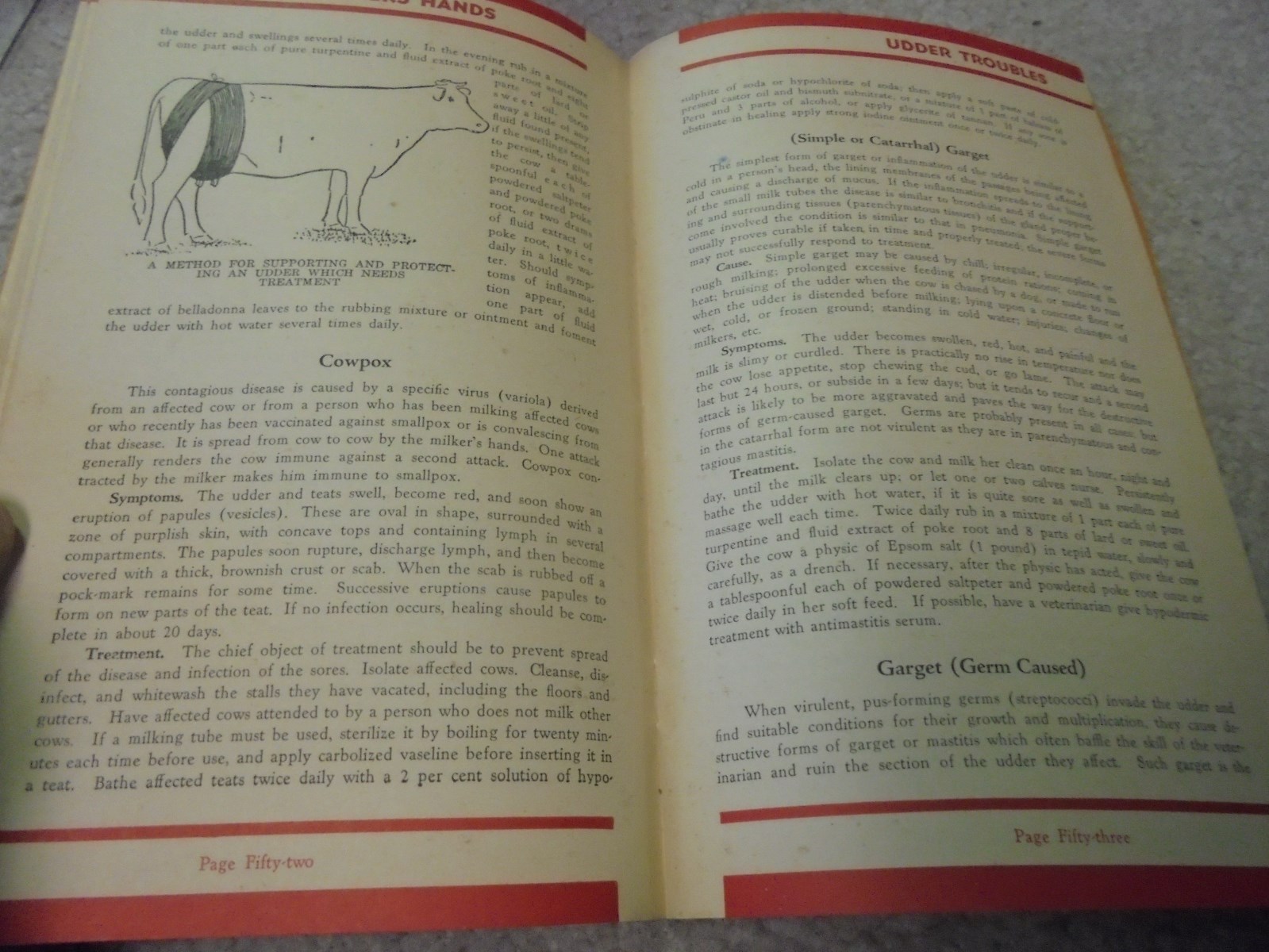 Vintage 1938 First Aid in Treating Common Ailments Animals by Hoard&rsquo;s Dairyman