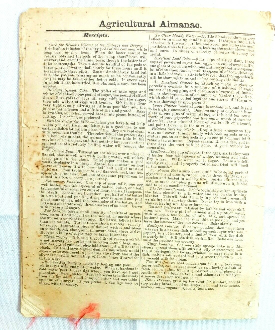 Vintage 1885 John Bear Baer&rsquo;s Agricultural Almanac Antique Farmers Lancaster PA