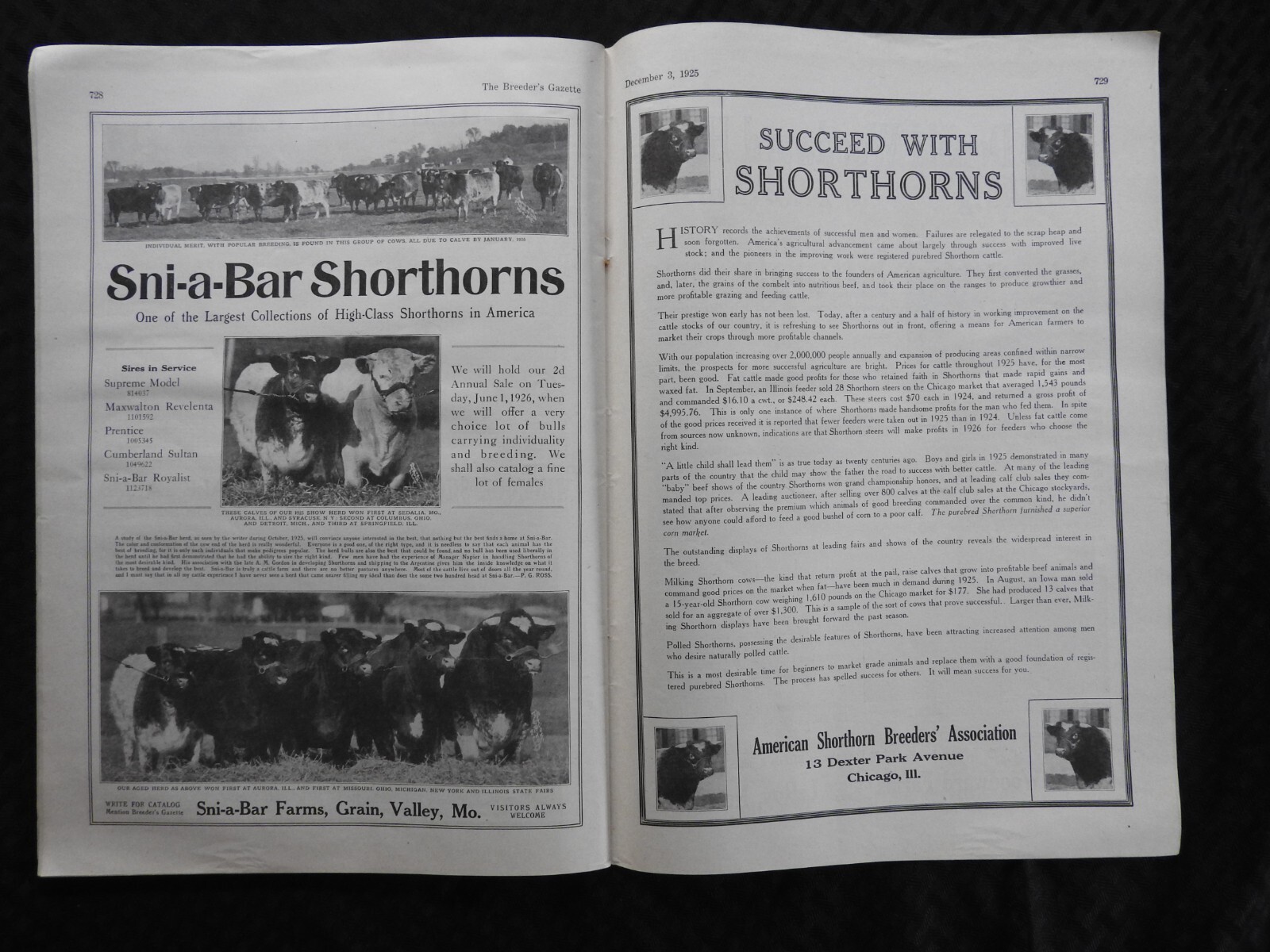 1925 Breeder&rsquo;s Gazette Magazine – cattle rancher farmer horse show VERY GOOD