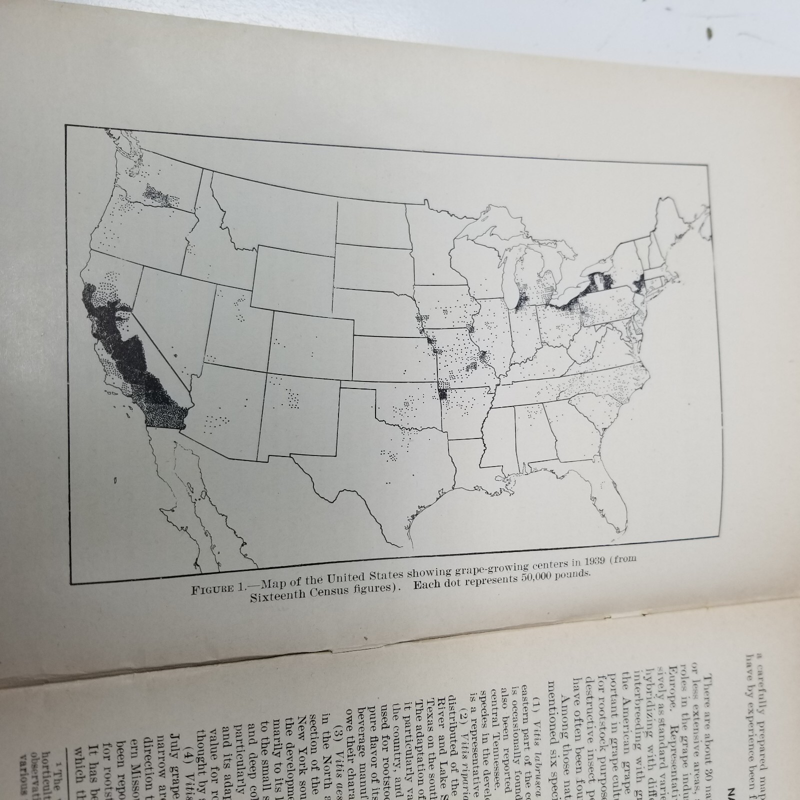 Grapes for Different Regions 1943 Farmers&rsquo; Bulletin Booklet 1936 USDA Photos