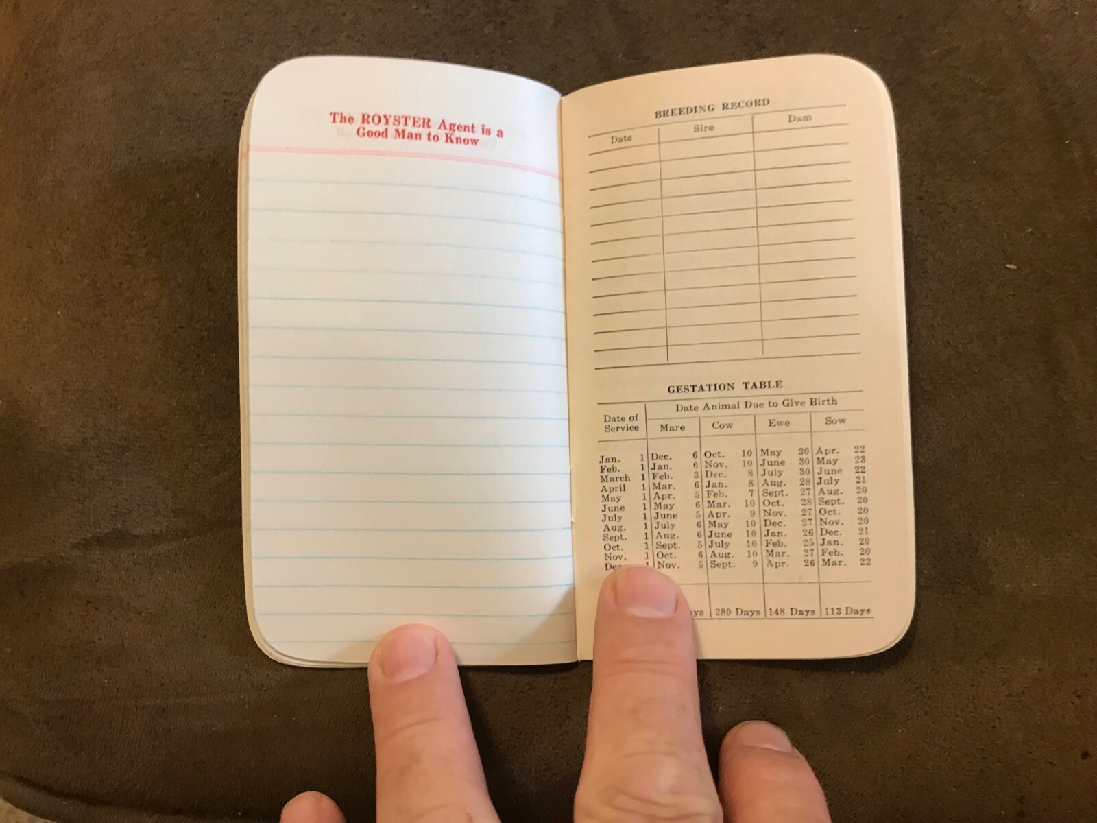 Royster Plant food Advertising FArmers Reference Notebook Circa 1959 NOS