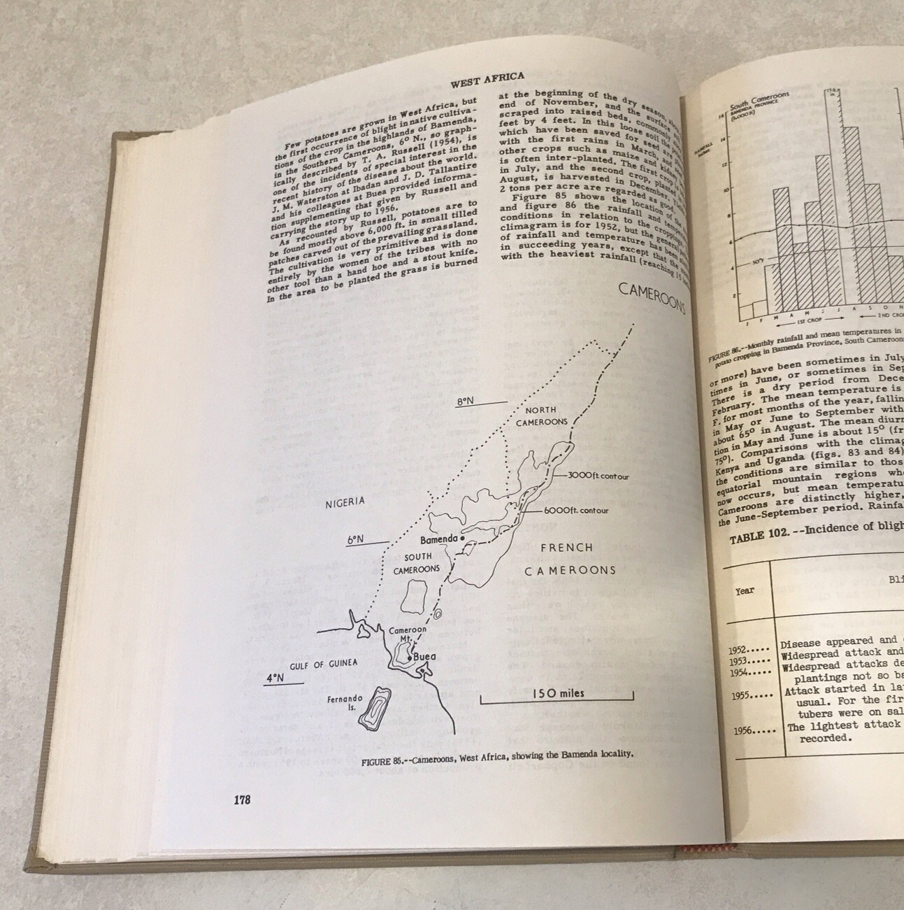 VINTAGE 1960 Potato Blight Epidemics USDA Disease Potatoes Handbook Illustrated