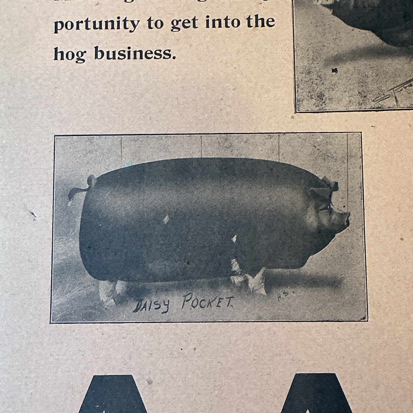 Antique 1910 Original Auction Poster China Hog Public Sale Ohio As Is INV-AC07Y