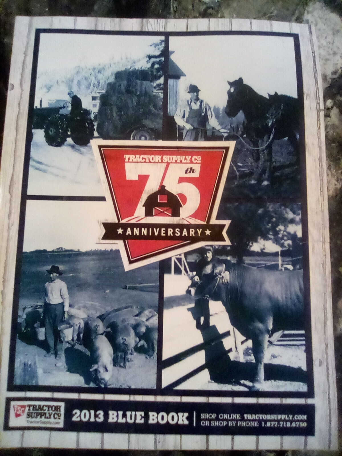 2013 Tractor Supply 75th Anniversary Catalog