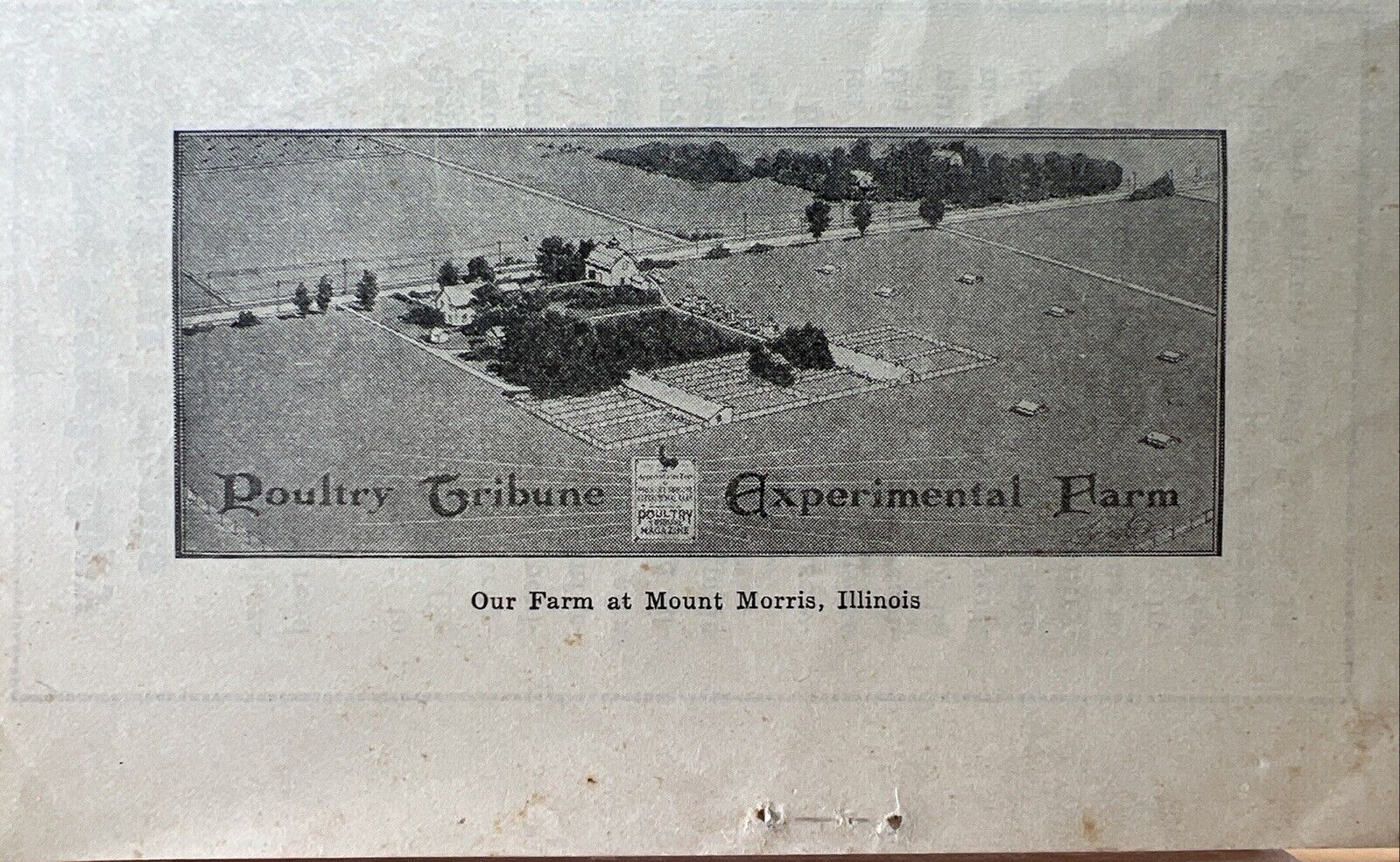1930s Poultry Tribune Mount Morris Illinois Book Buyers Service Booklet