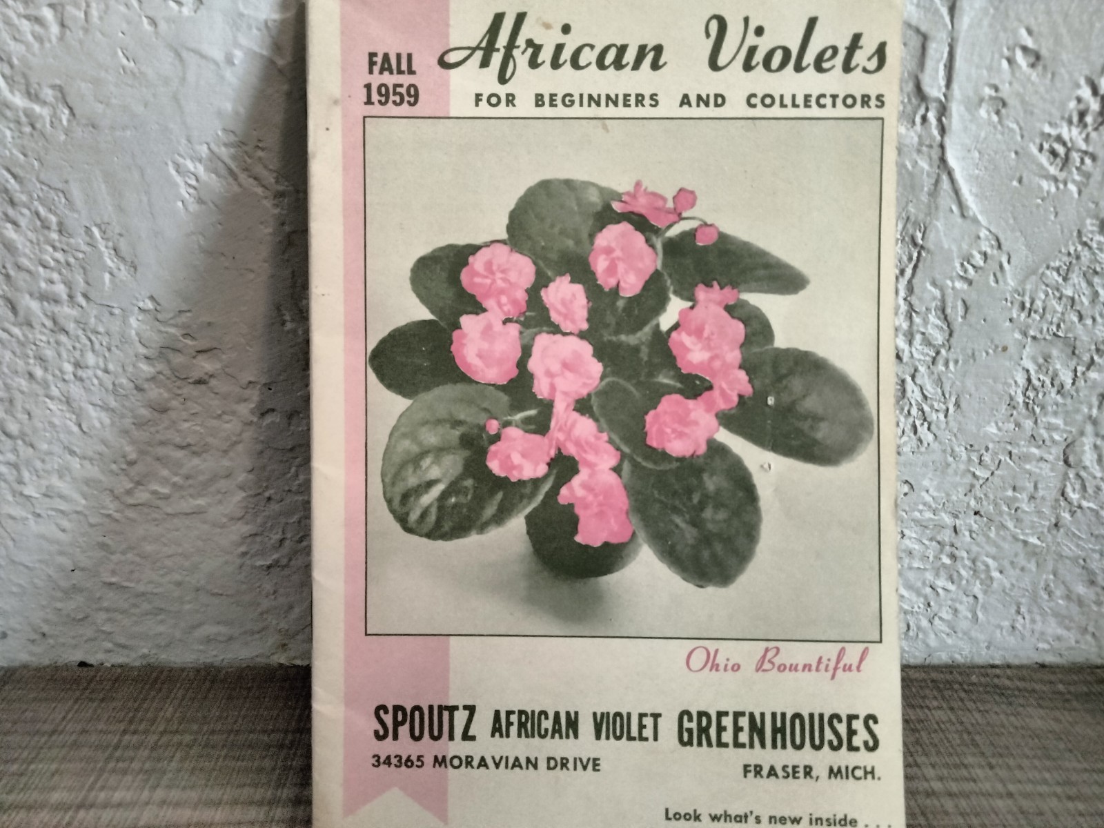 Vtg. 1939 Empire State Nursery Co. Fruits & Flowers Booklet + 2 African Violets