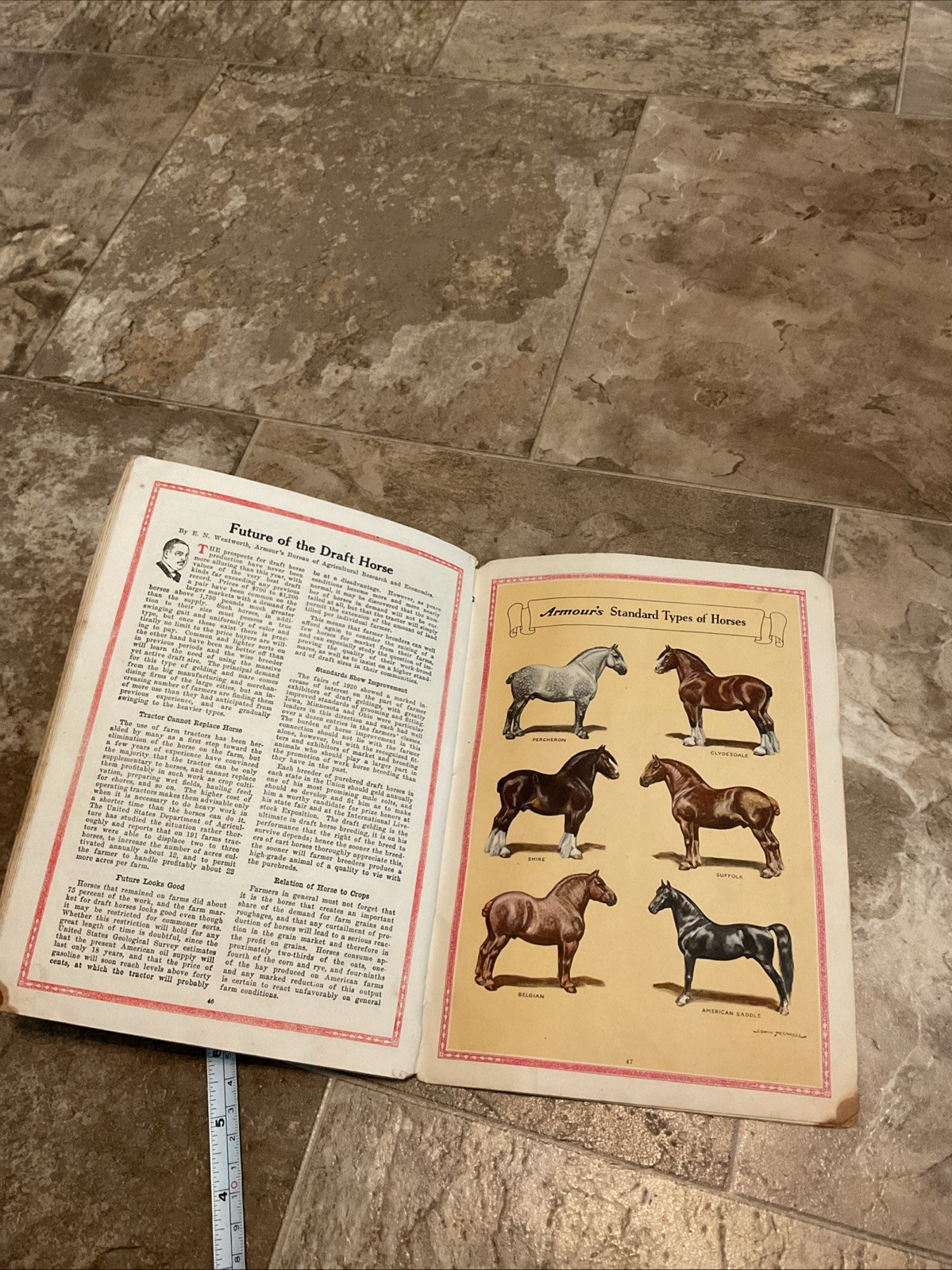 Vintage Antique 1921 Armours Farmers Almanac Horses Cartoons Beef Cuts