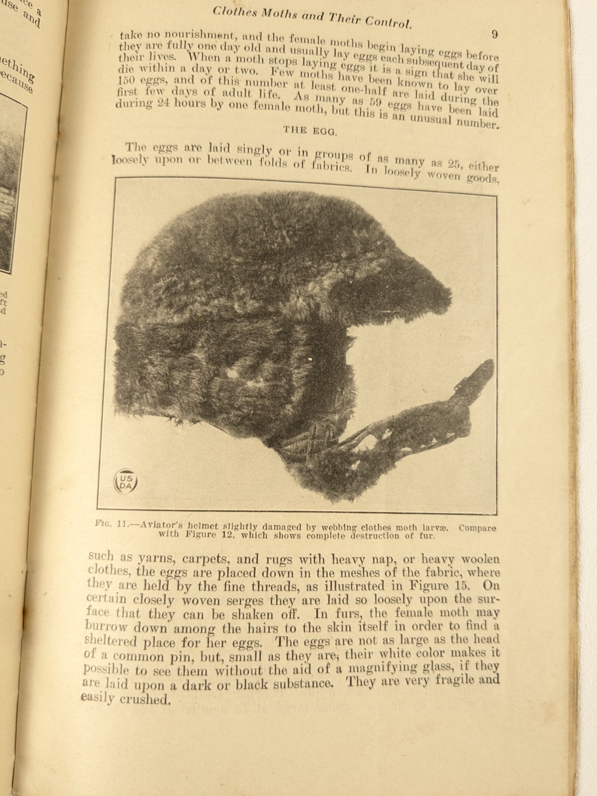 1928 – US Department of Agriculture Farmers Bulletin no. 1353 Cloths Moths – B23