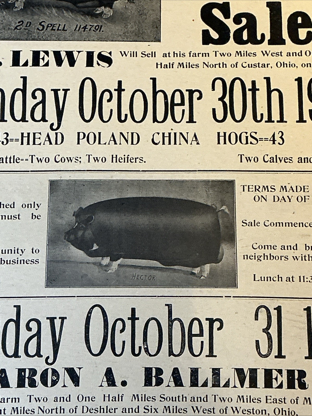 Antique 1911 Original Auction Poster China Hog Public Sale Ohio As Is INV-AC07Z