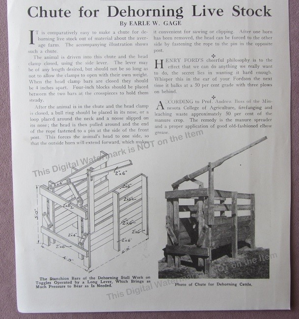 1919 Antique Article * Build Chute for Dehorning Live Stock Cattle Farm