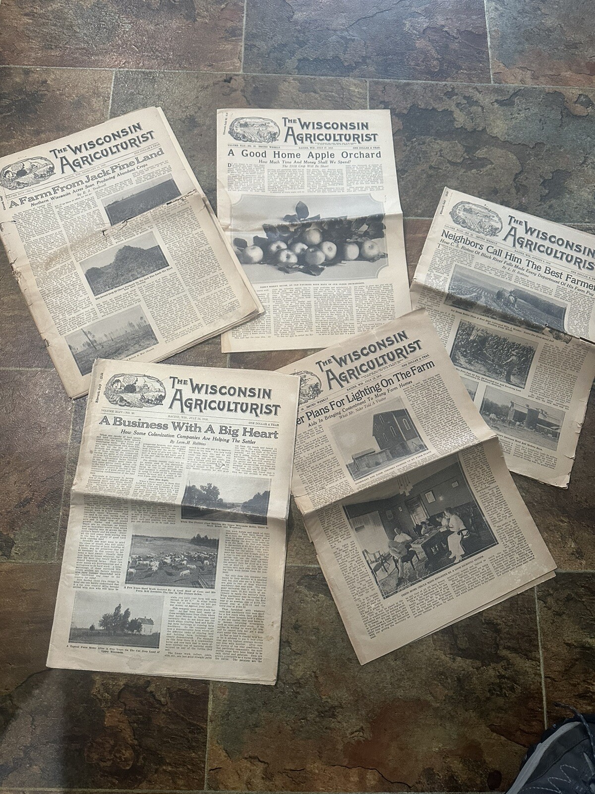 5 VTG Wisconsin Agriculturist Farmer Newspapers 1918-1920 TRACTOR ADS Logging