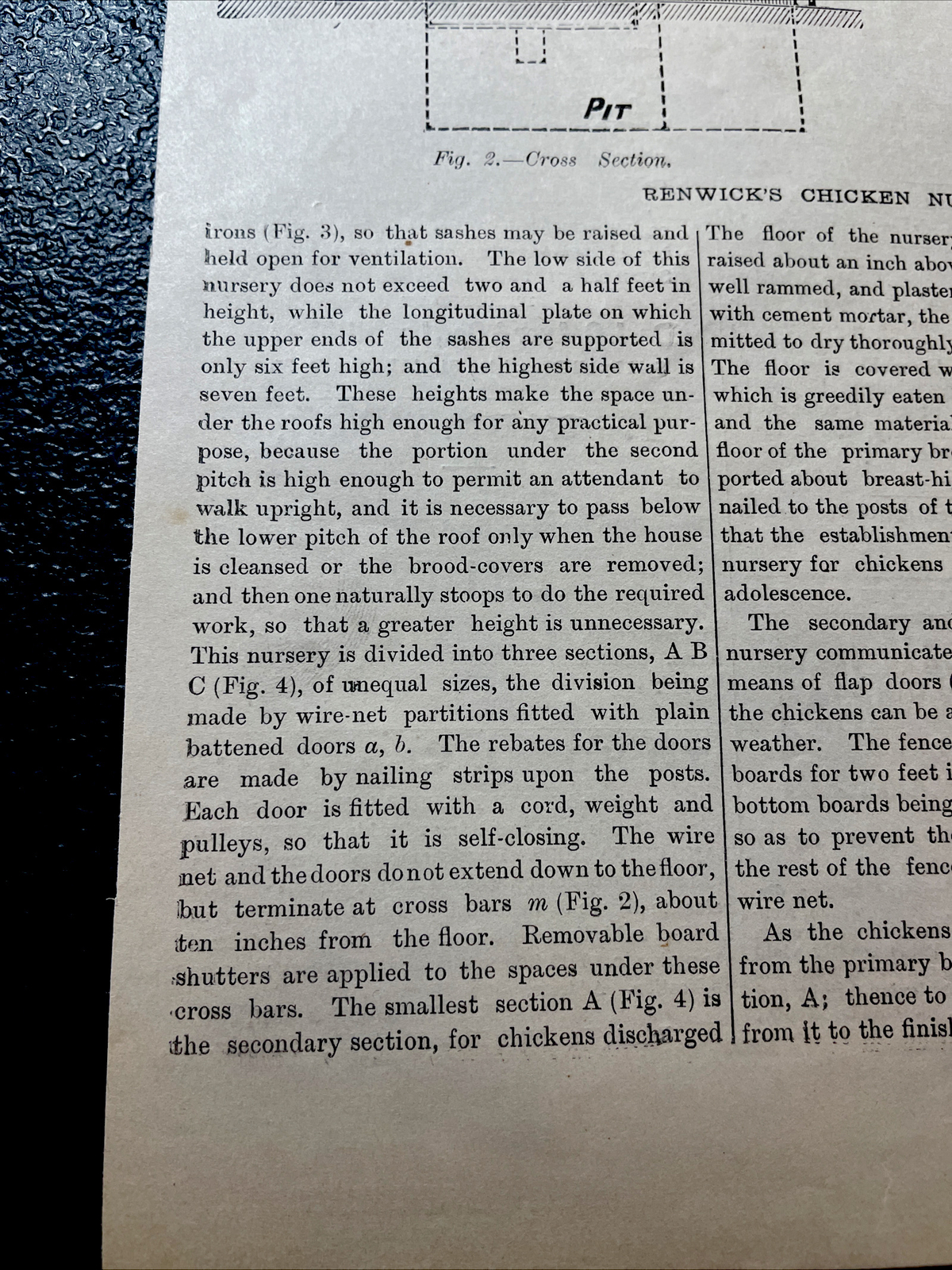 1883 Renwick’s Chicken Nursery Farm Advertising Engraving & Article – 10×15