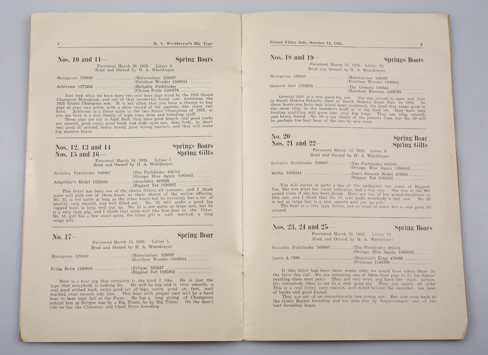 Vintage 1925 Poland China Pig Sale Cholera Immuned Emery South Dakota