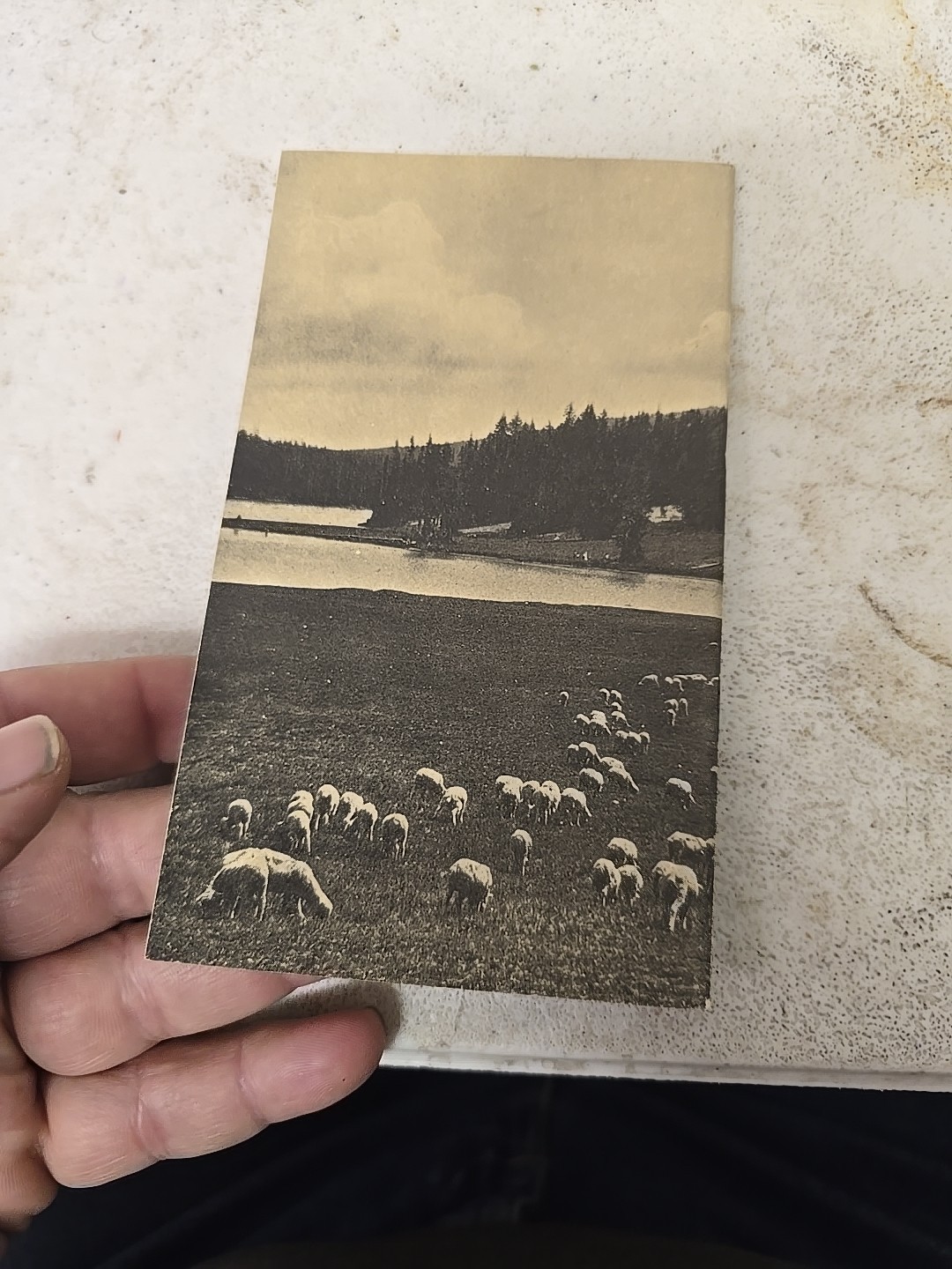 1953 Pendleton Woolen Mills Brochure