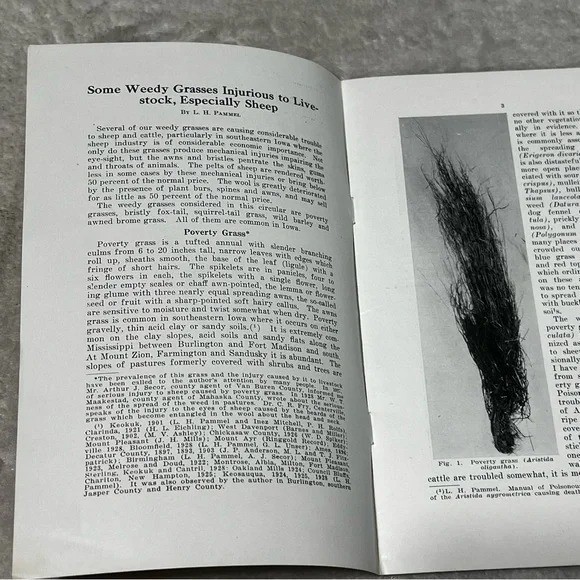 Some Weedy Grasses Injurous to Livestock 1929 Circular Iowa College of Ag CX