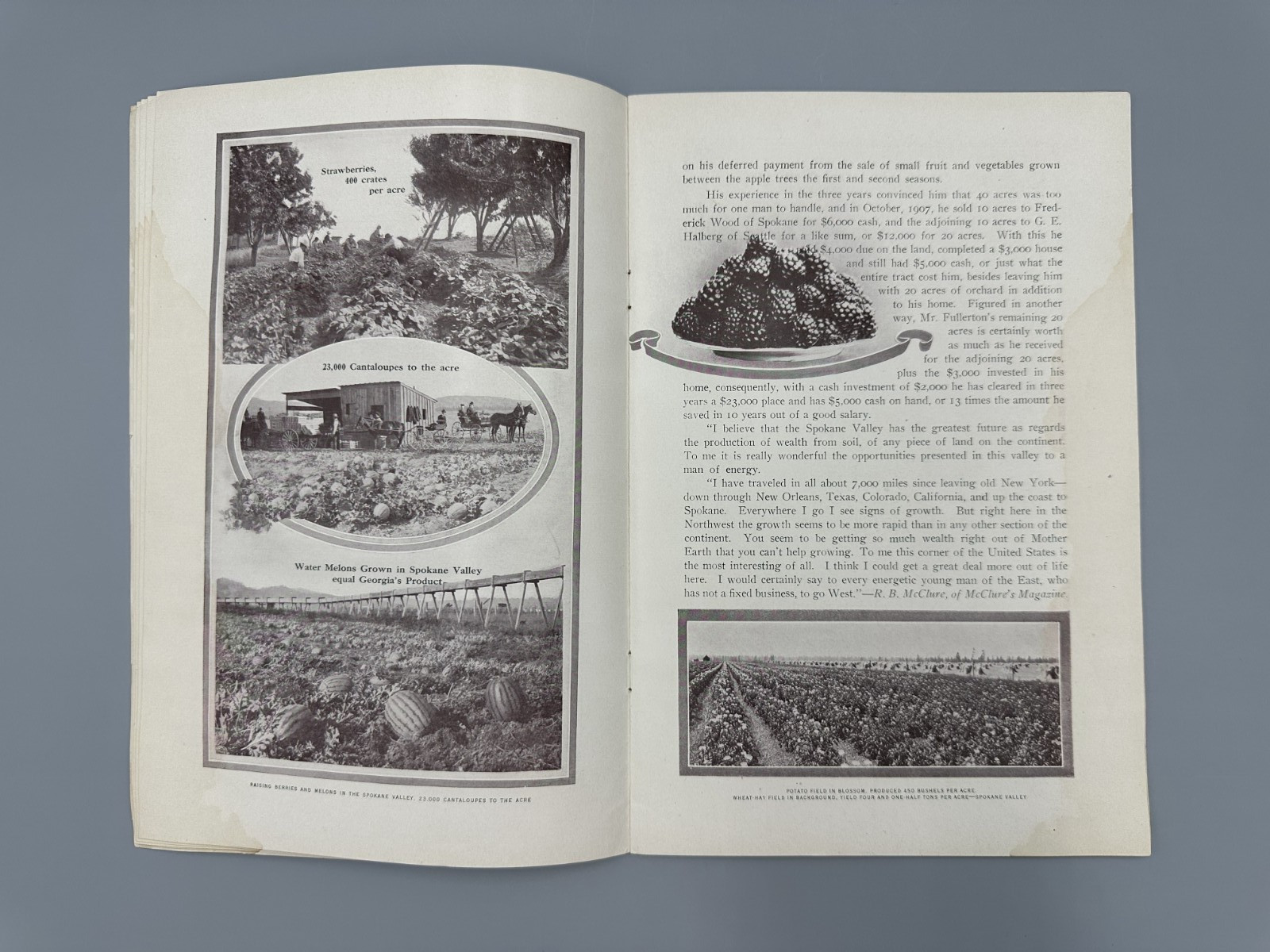 1908 SPOKANE COUNTRY Farming APPLE ORCHARD Fruit HOLT STEAM ENGINE Chamber MAP