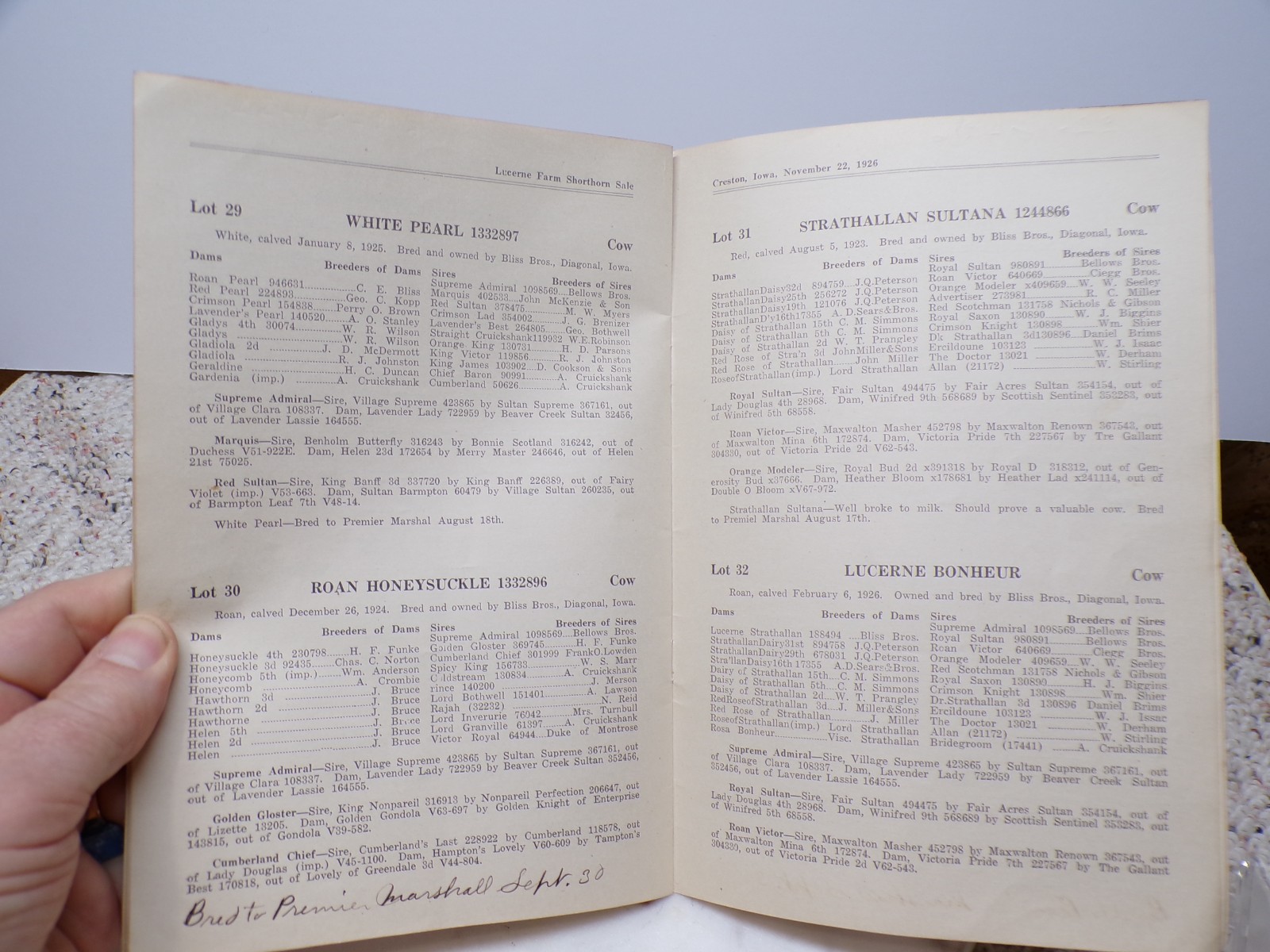 1926 Draft Sale Shorthorns Lucerne Farm Bliss Bros Diagonal Creston Iowa FAMILY?