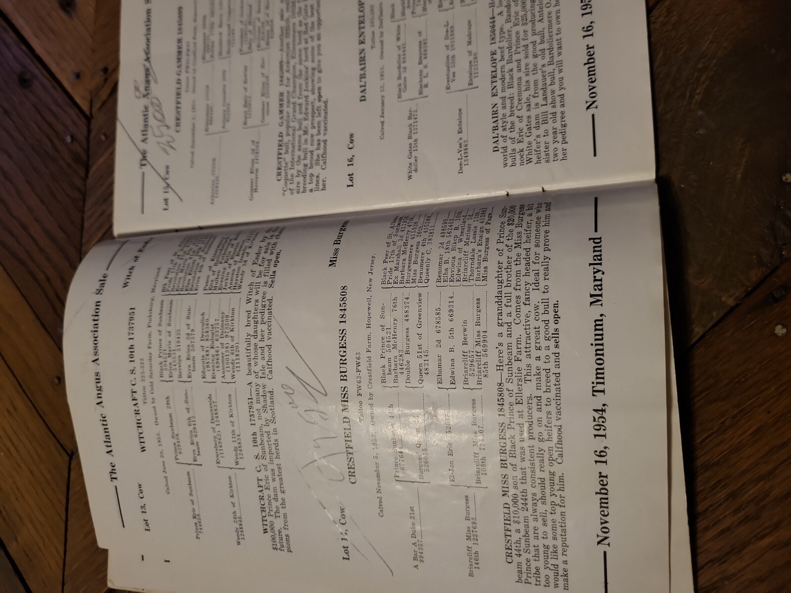 1954 Atlantic Angus Association Sale Bill Aberdeen Cattle Maryland + genealogy