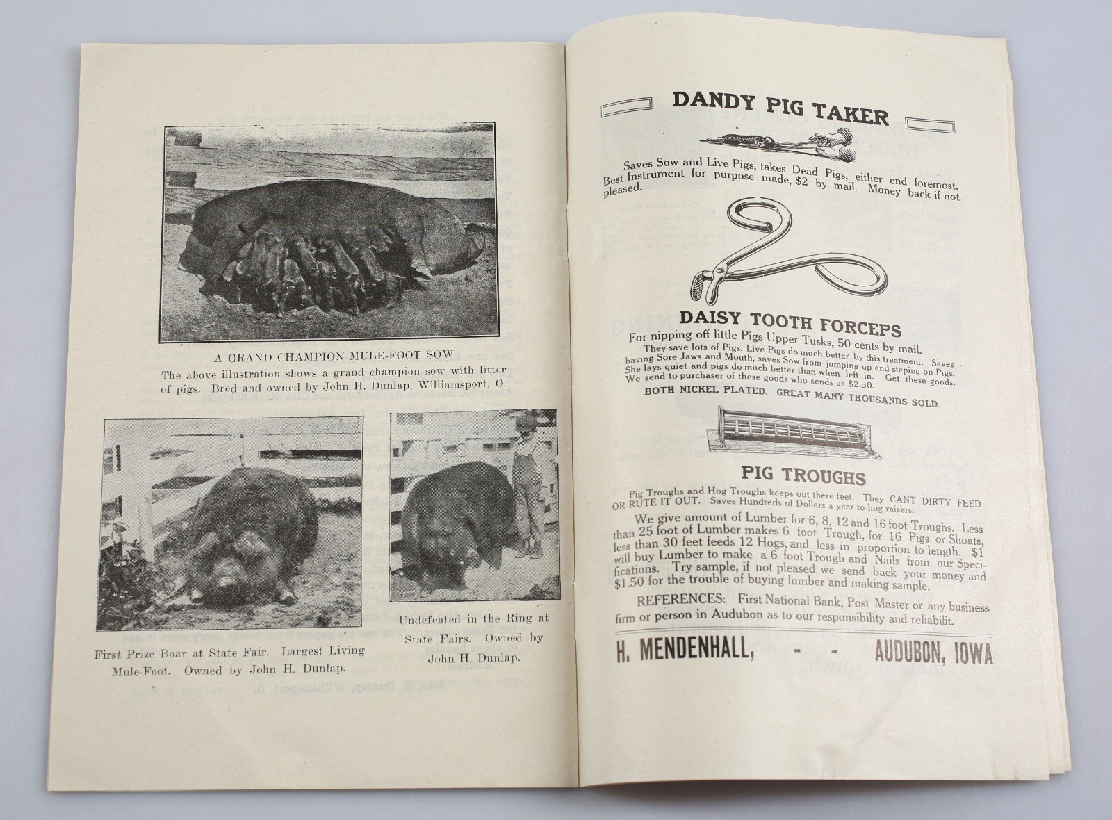 1933 John H. Dunlap Blue Ribbon Stock Farms Mule Foot Hogs Catalog + Ephemera