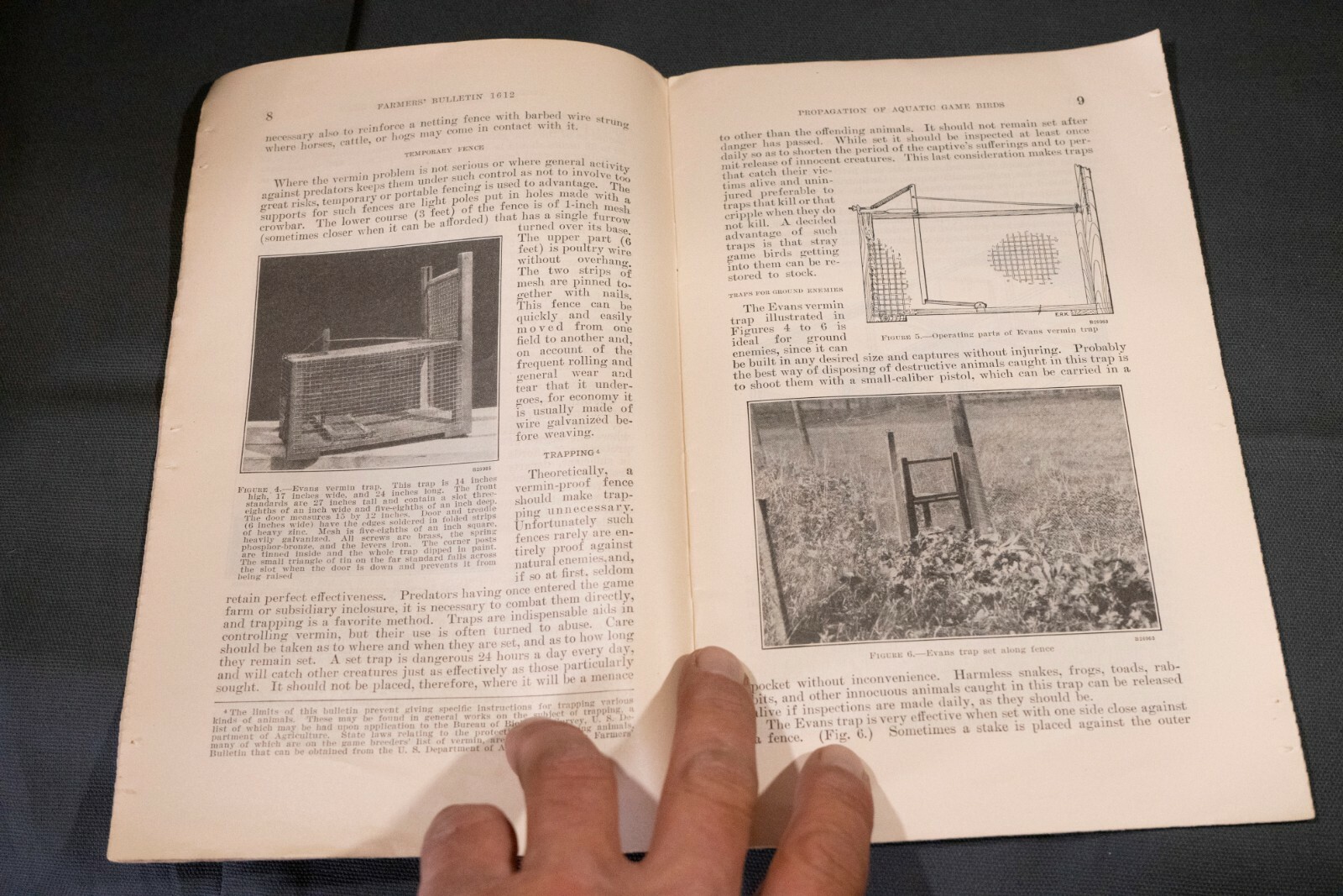 1930 Booklet Department of Agriculture, Propagation Of Game Birds No.1612