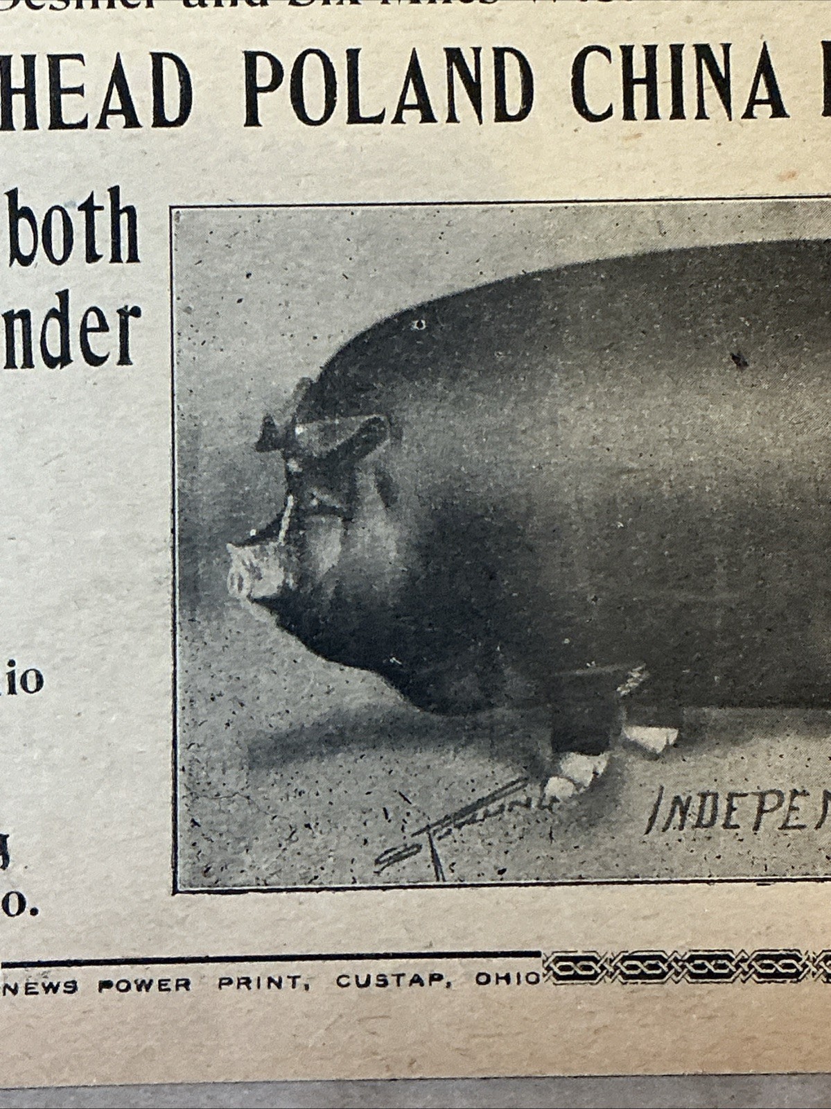 Antique 1911 Original Auction Poster China Hog Public Sale Ohio As Is INV-AC07Z